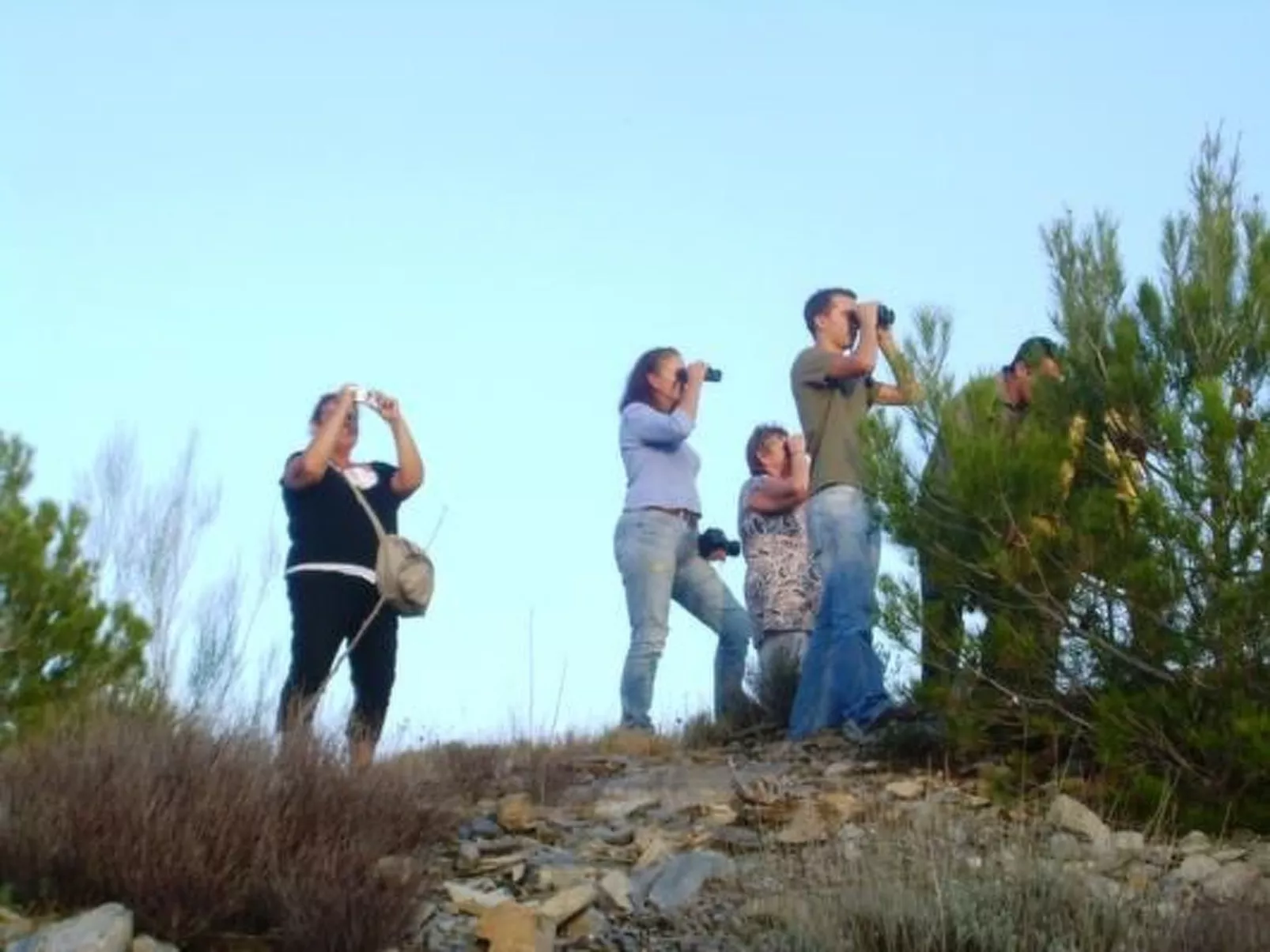 Tenguerengue-Image-tags.info