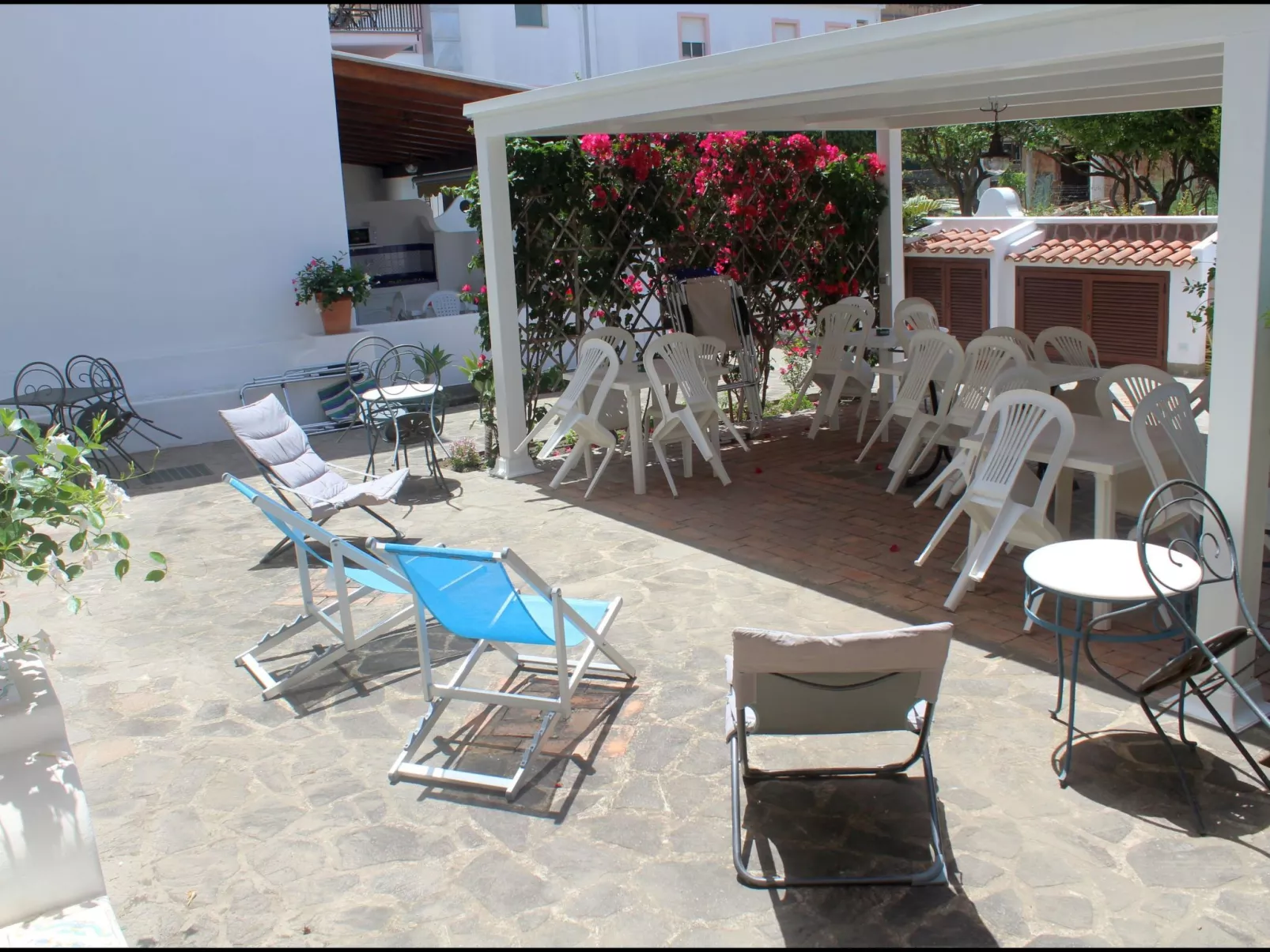 'Camelia ab 236-Image-tags.info