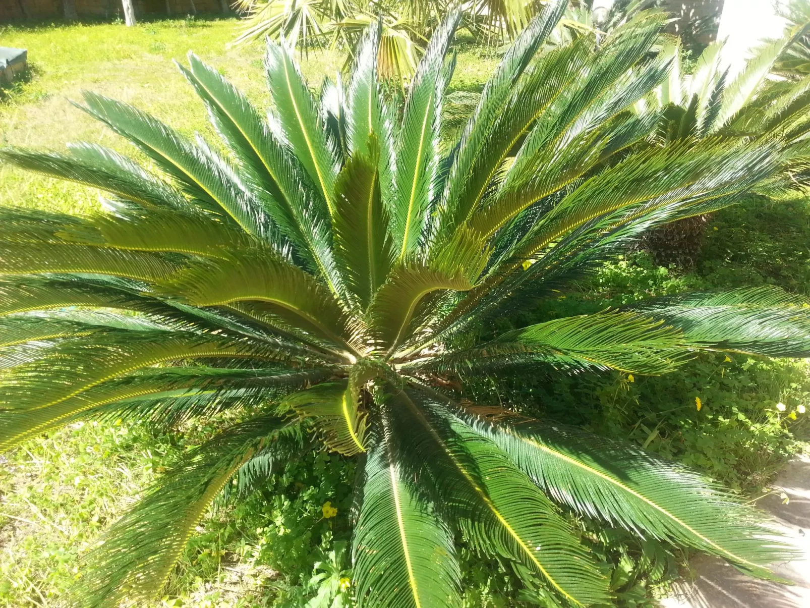 VanessaFerienhaus Erdgeschoss-Buiten