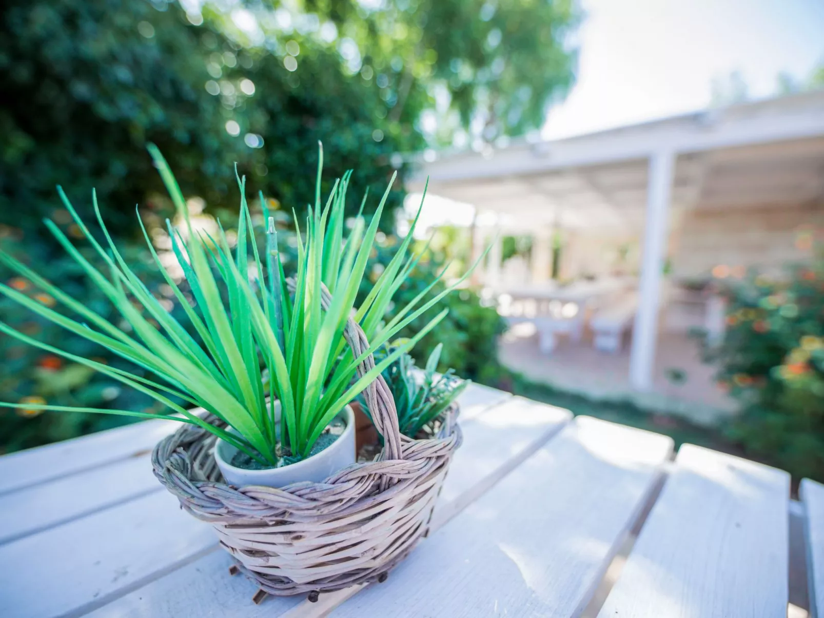 Casal del Borgo 1-Binnen