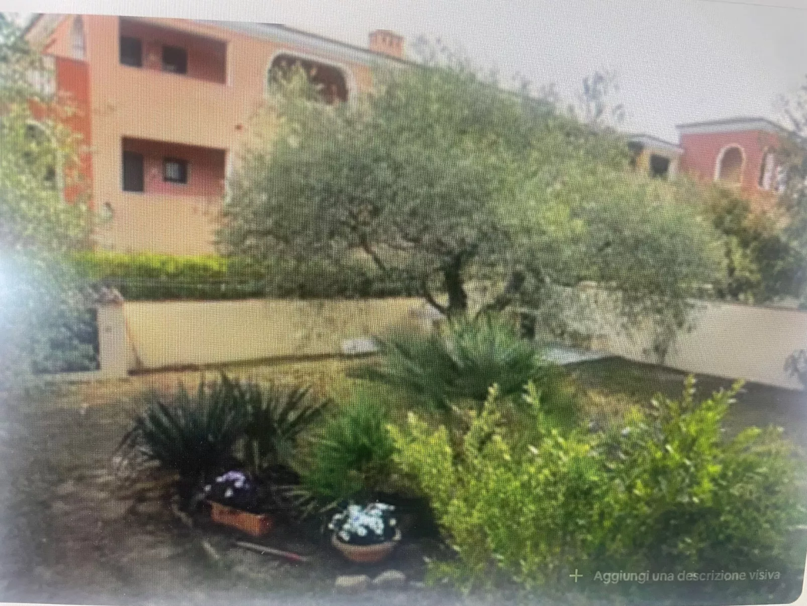 Haus der Oliven-Buiten