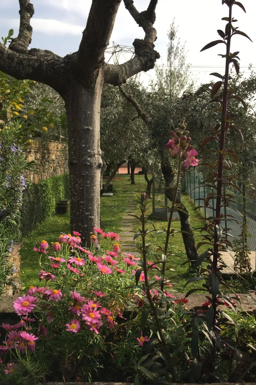 Wohnung 'Gelsomini' mit Meerblick-Binnen