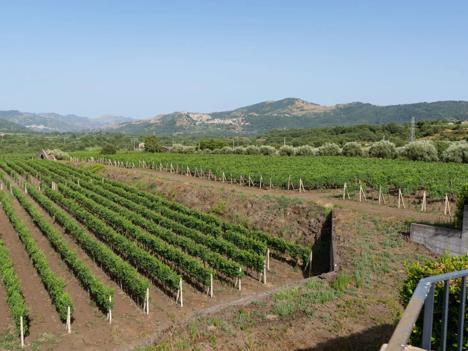 Villa Nocellara", umgeben von Weinbergen-Buiten
