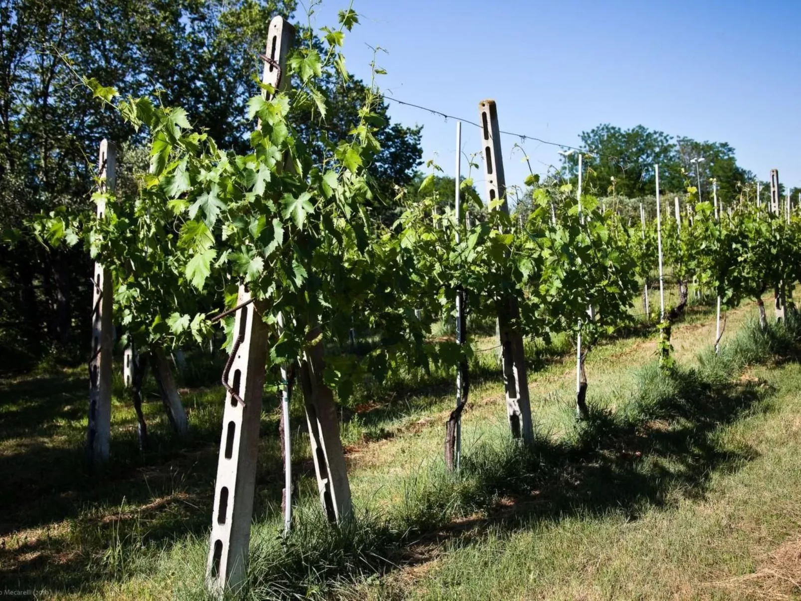 Bauernhof-Scheune-Buiten