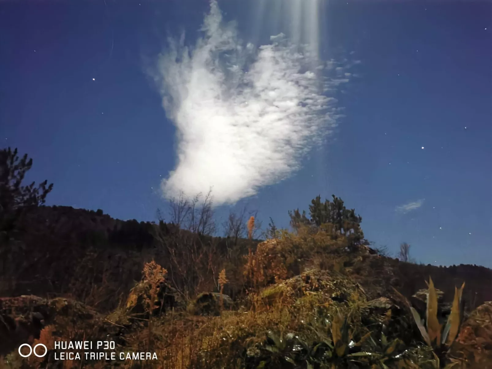 Chalet 'Perle des Höhenweges'-Buiten