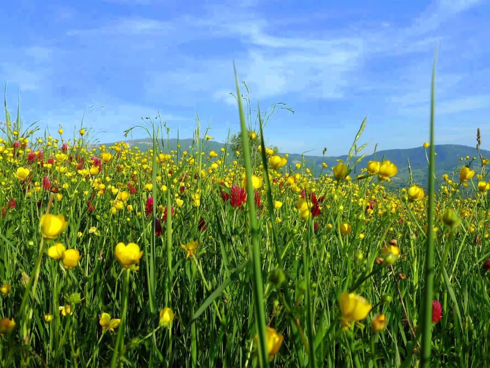 Anwesen mit Gemeinschaftspool-Binnen