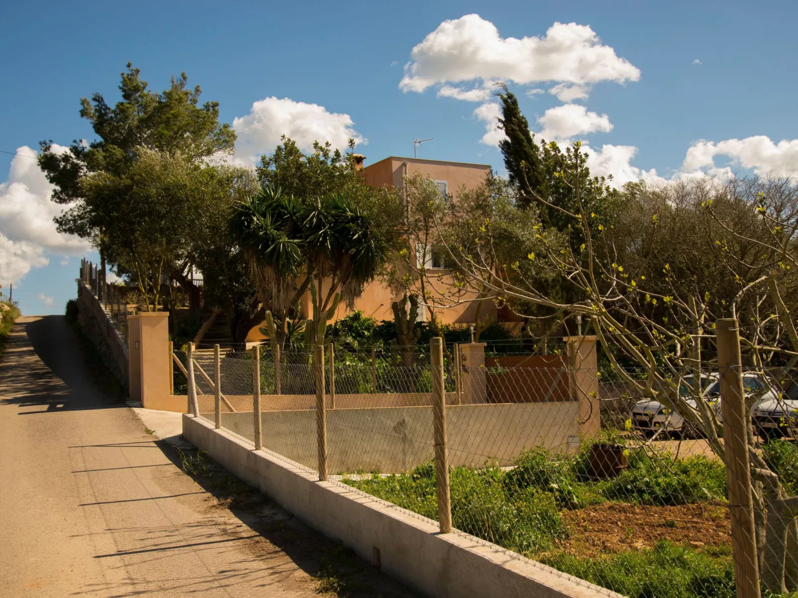 Kann Marc-Image-tags.info