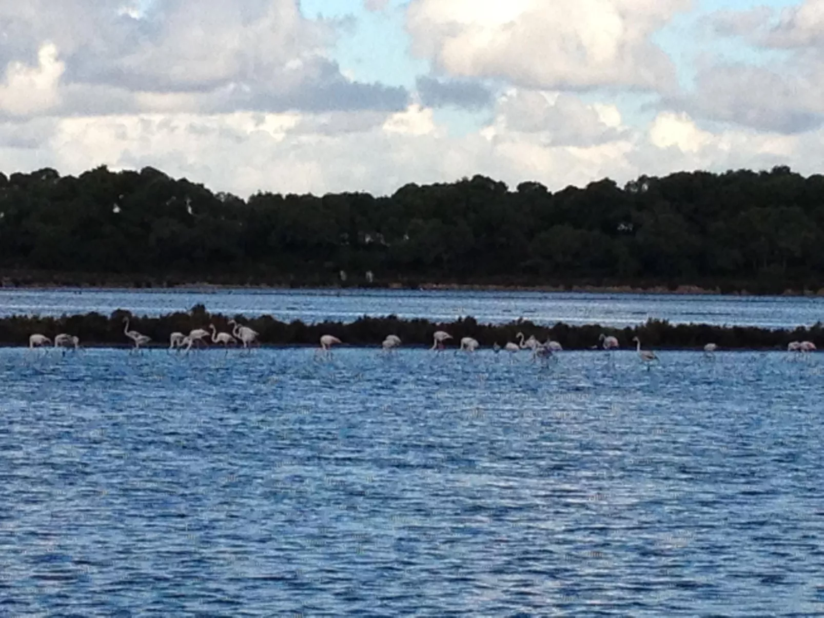 In Campos mit Privatem Pool-Buiten