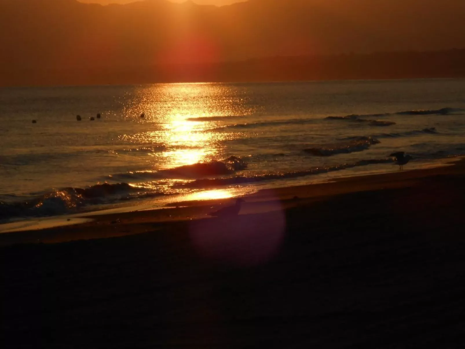 In Castellammare Del Golfo mit Großem Garten und Panoramablick-Image-tags.info