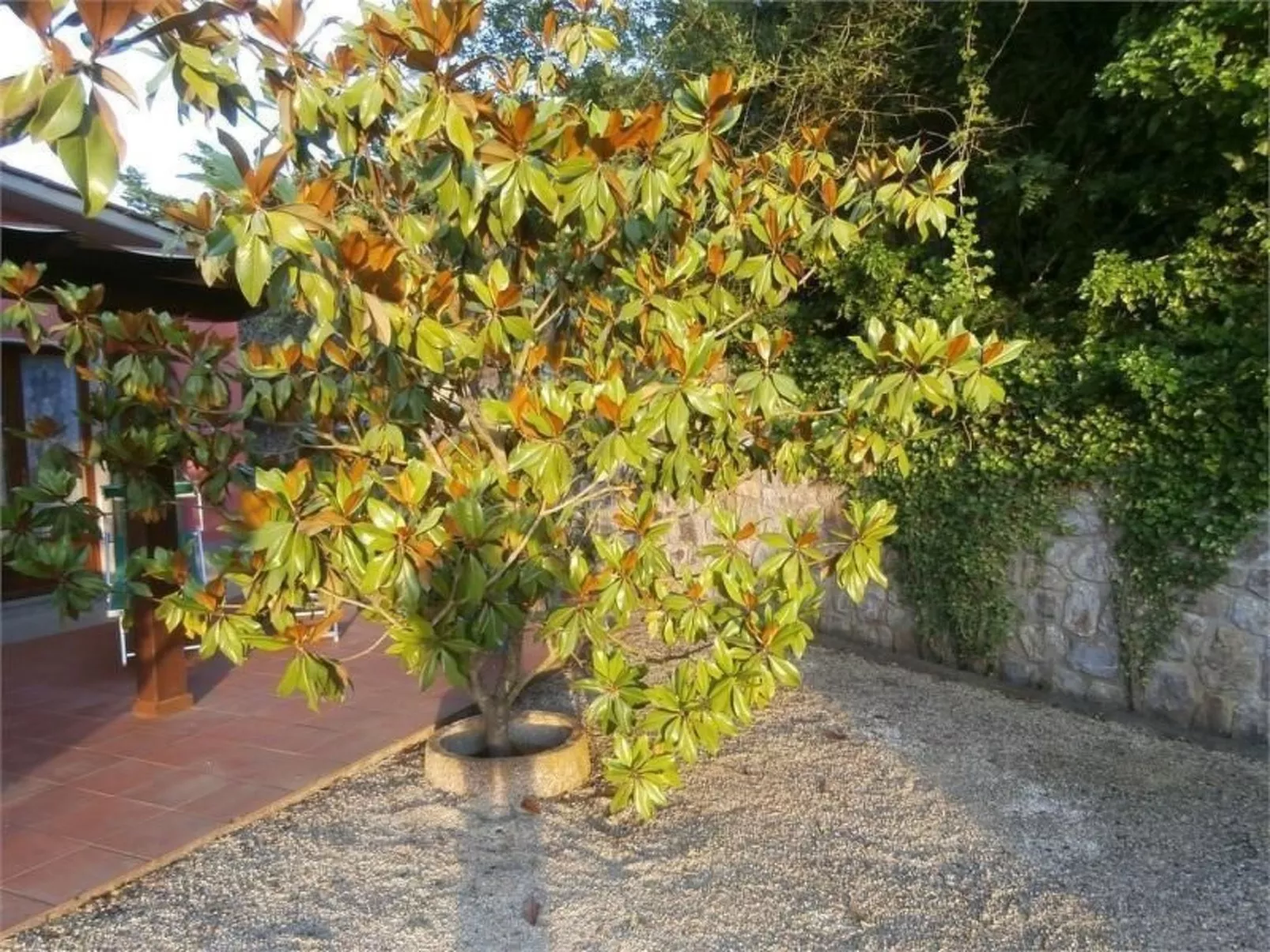 Mit Wasserblick-Binnen