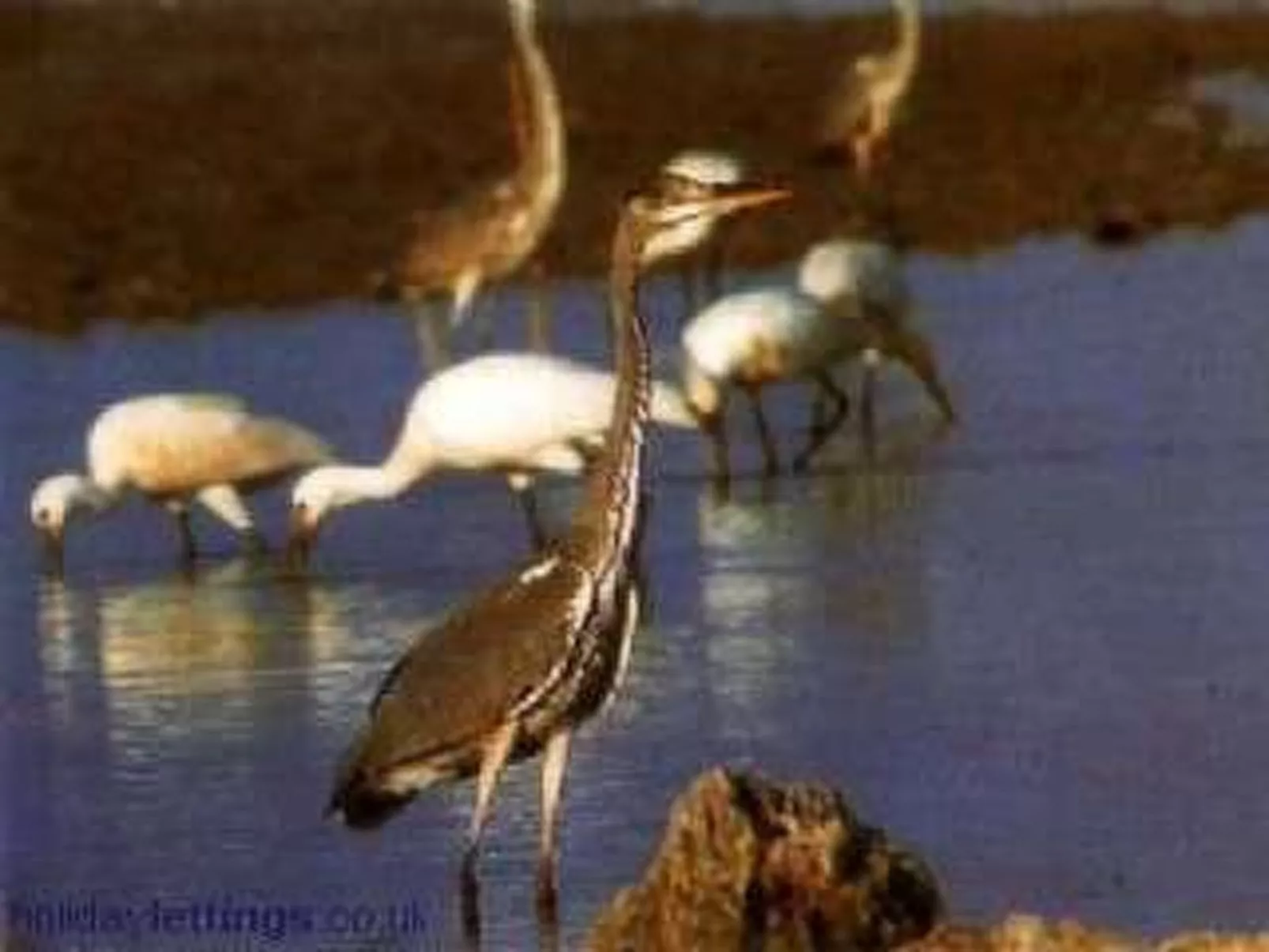 'Casetta Giuliana-Buiten