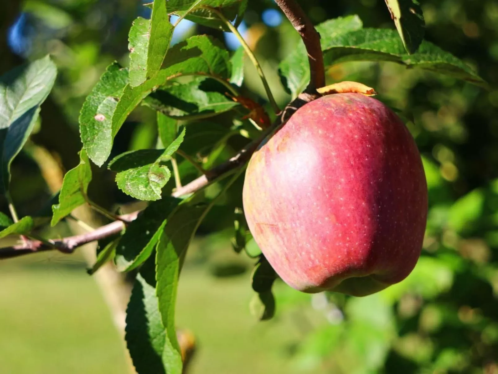 In Cascina mit privatem Parkplatz-Image-tags.info