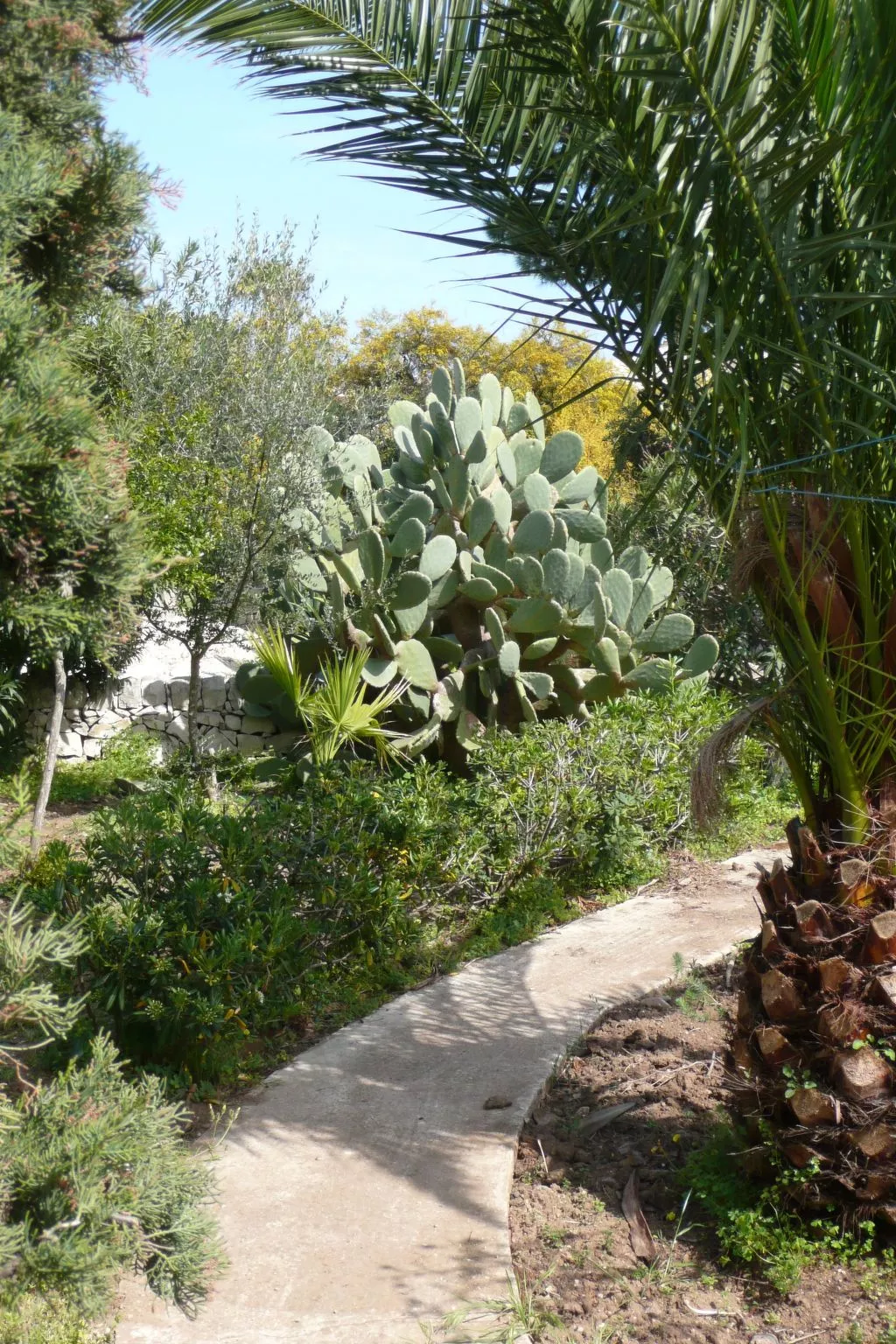 Mit grosser Terrasse direkt am Meer-Binnen