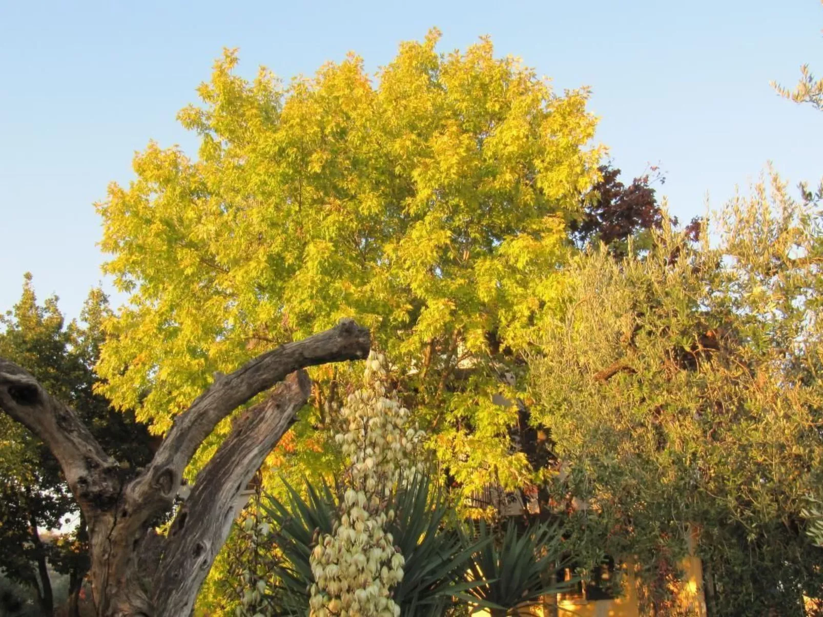 TERRAZZE SUL GARDA-Binnen