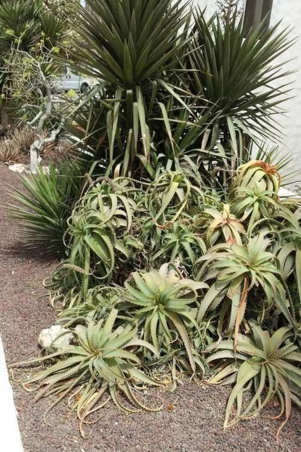 Wohnung "Costa Calma" mit gemeinschaftlichem Pool-Binnen