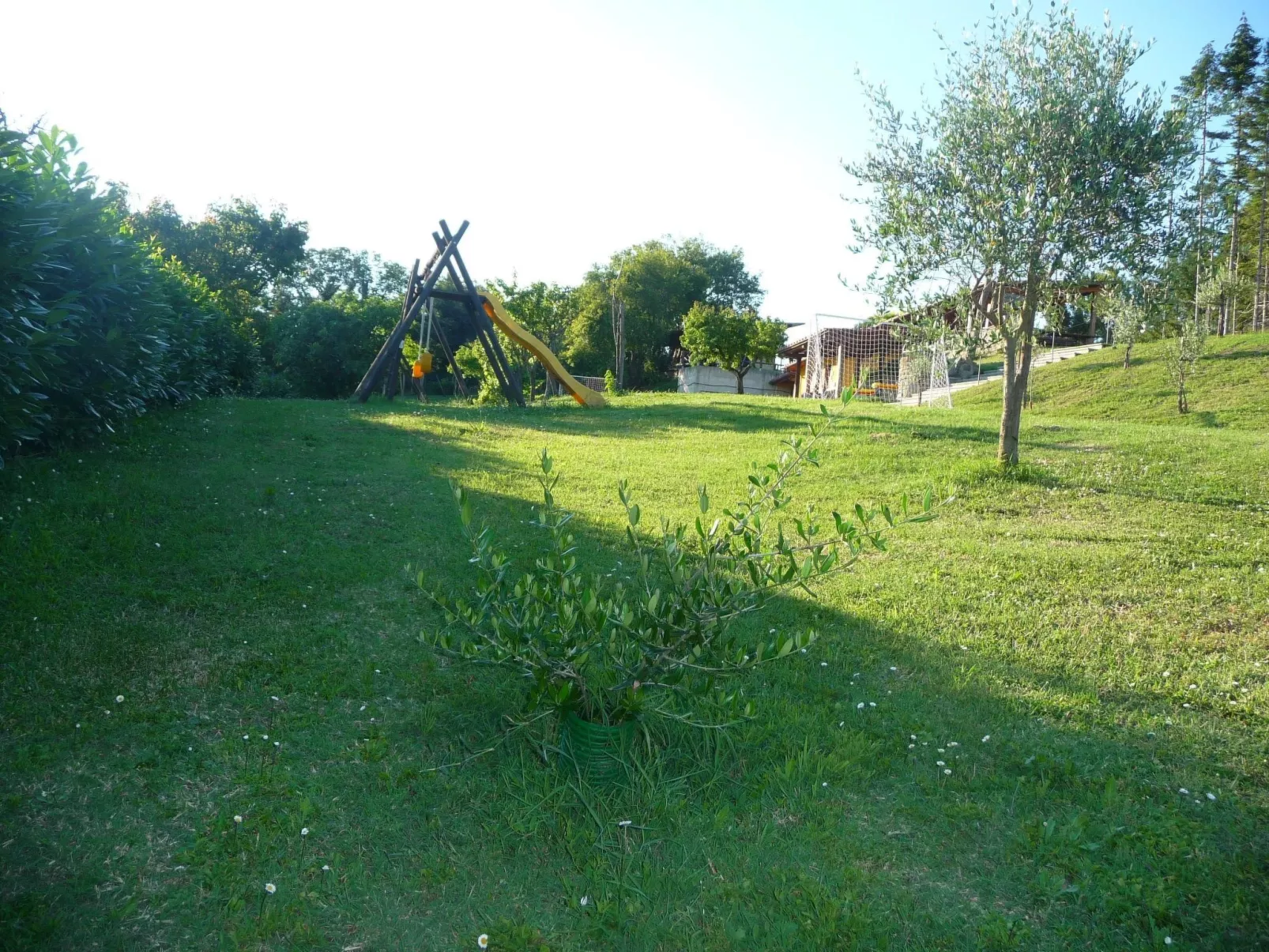 Fichtenhaus mit Schwimmbad zwischen Florenz und Arezzo-Binnen