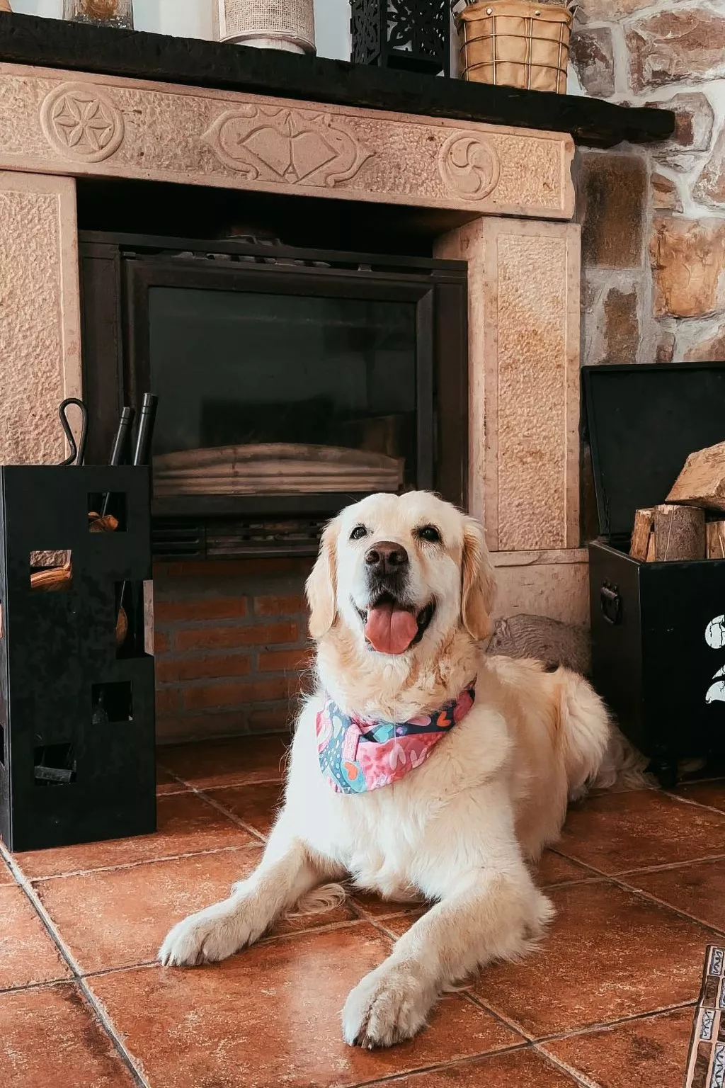 Jacuzzi, Kamin, Grill und spektakuläre Aussicht-Binnen