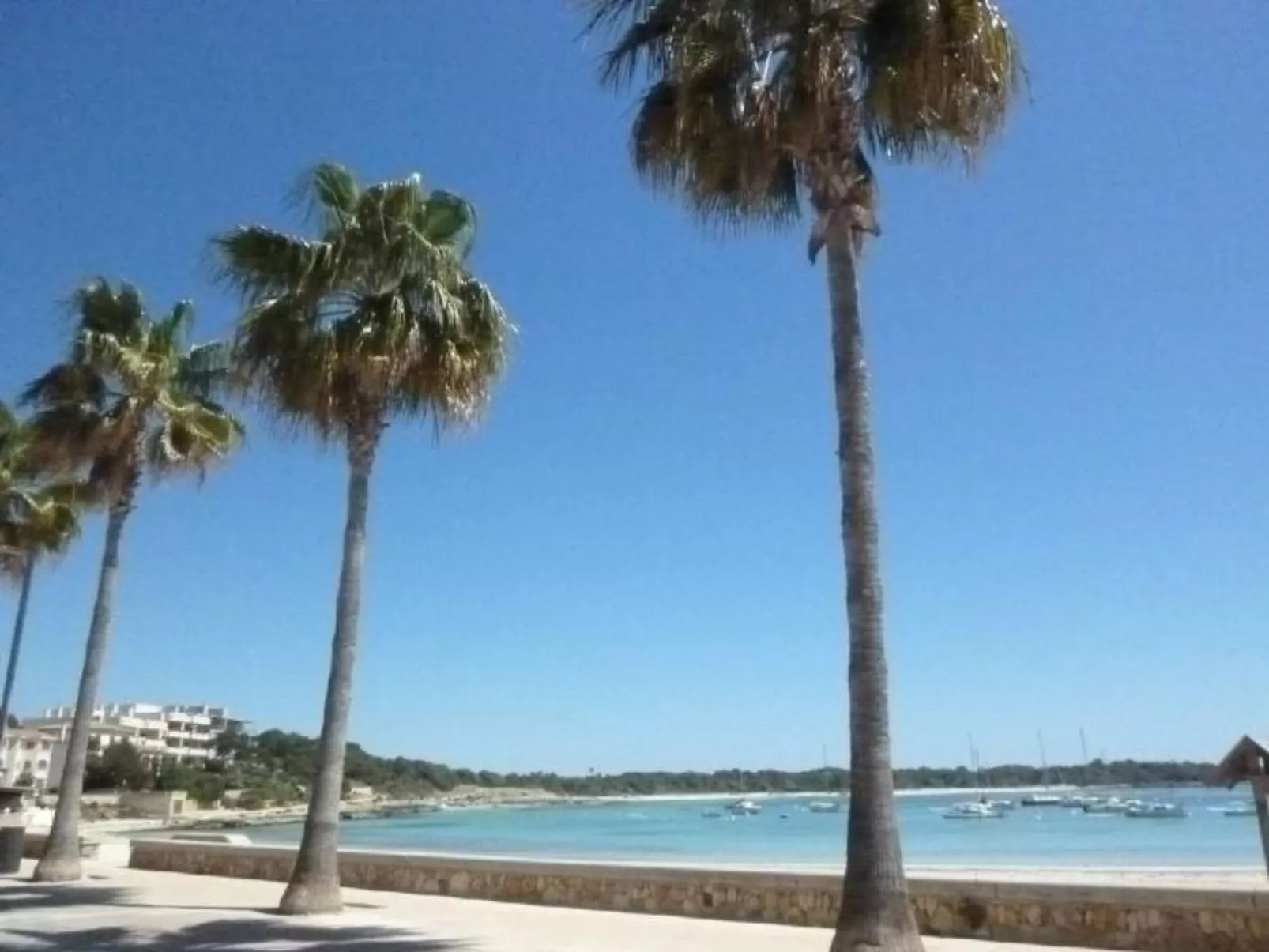 Casa Flor de Salines-Image-tags.info