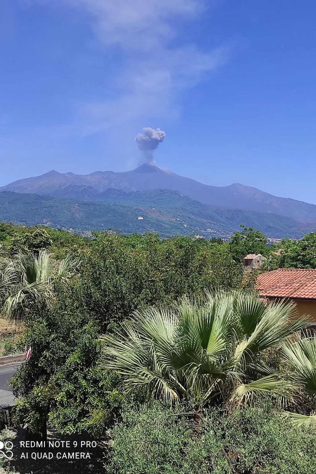 Le Palme in linera-Binnen
