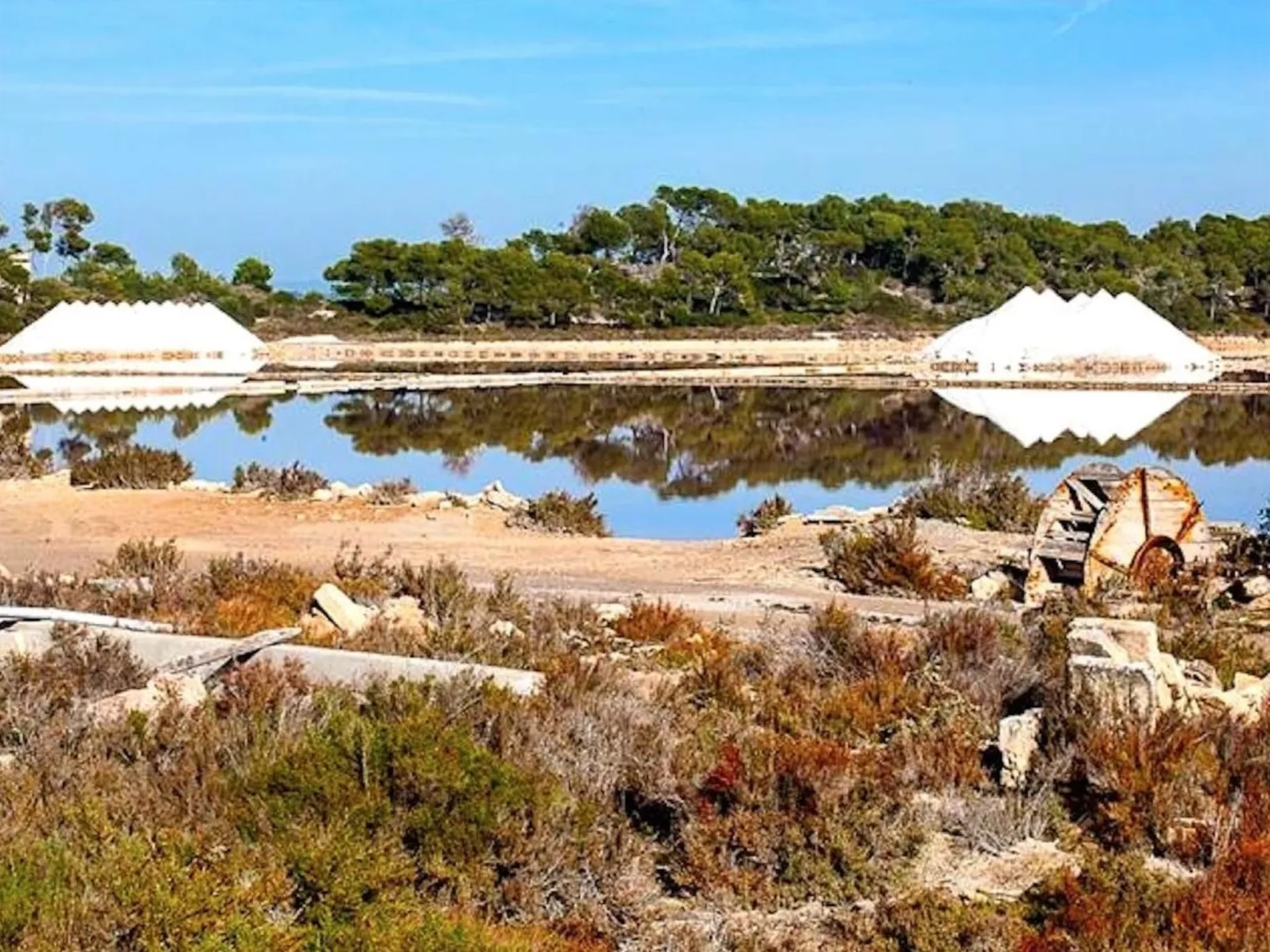 Finca Verde Campos - Image-tags.info