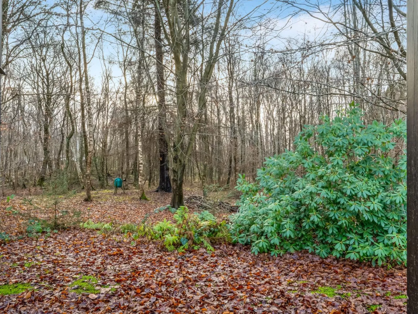 "Dreng" -  from the sea-Buiten