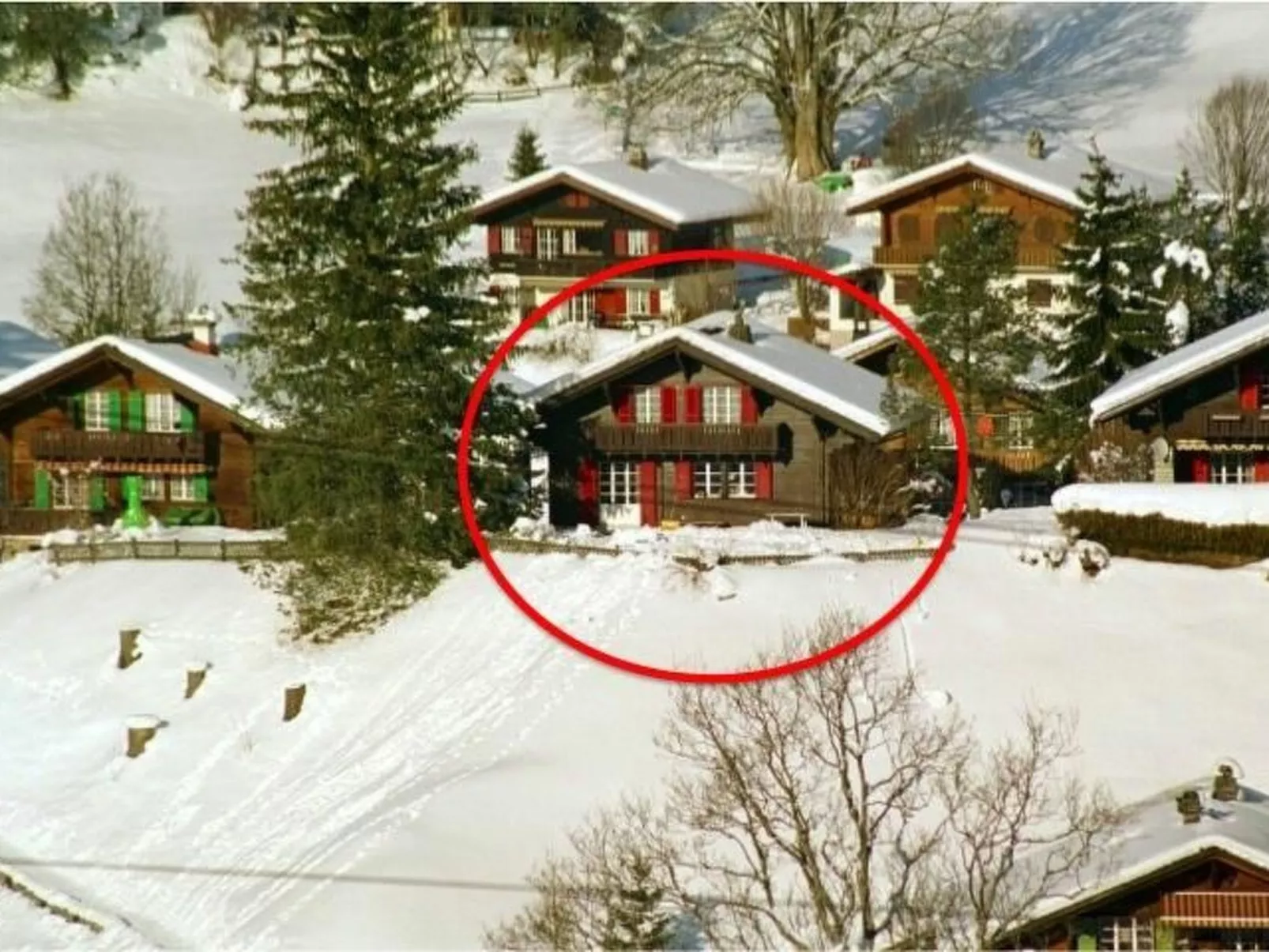 Chalet Gletscherfloh-Binnen