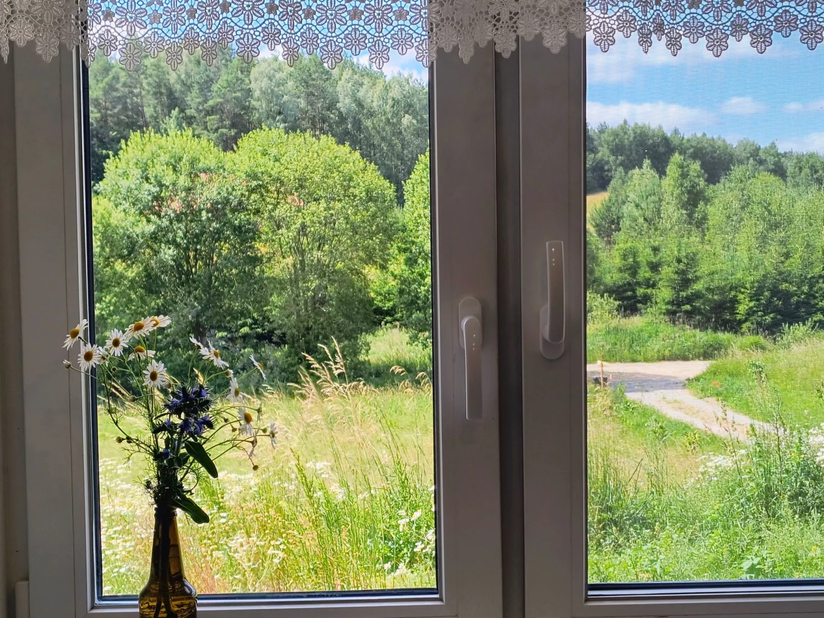 Vogelecke - abseits des Trubels und der Hektik-Binnen