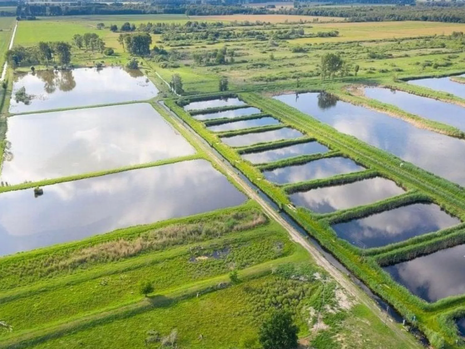 In Linum mit Garten, Terrasse und Grill-Image-tags.info