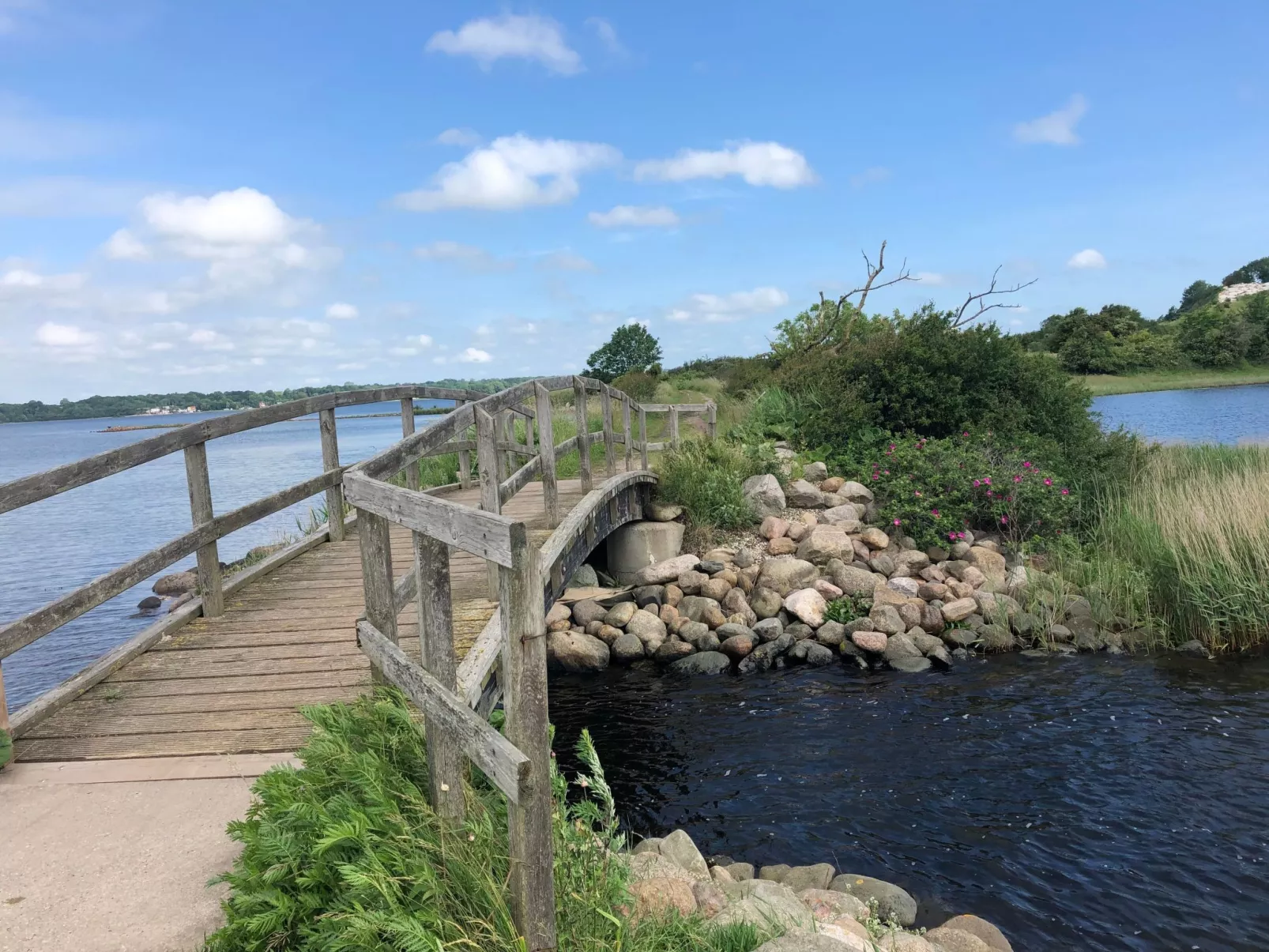 Ferienwohnung-Buiten