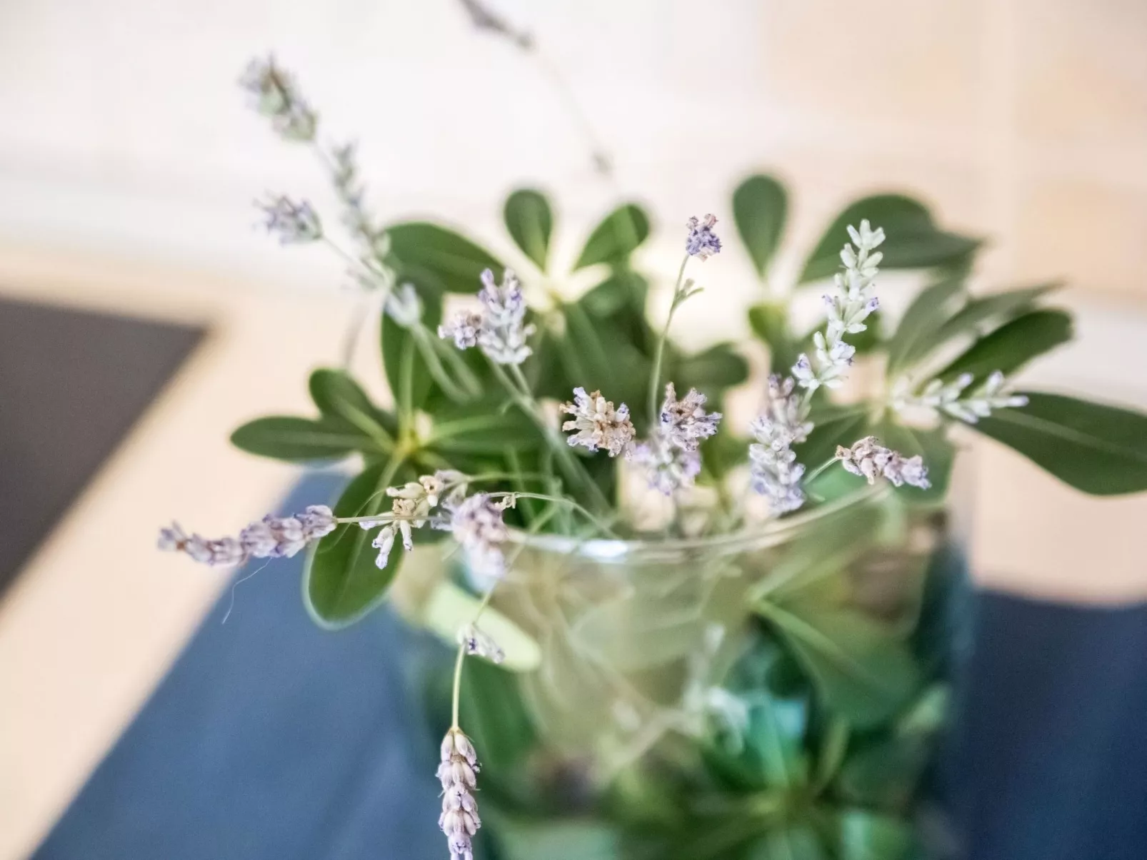 Wohnung für 6 Personen - Binnen