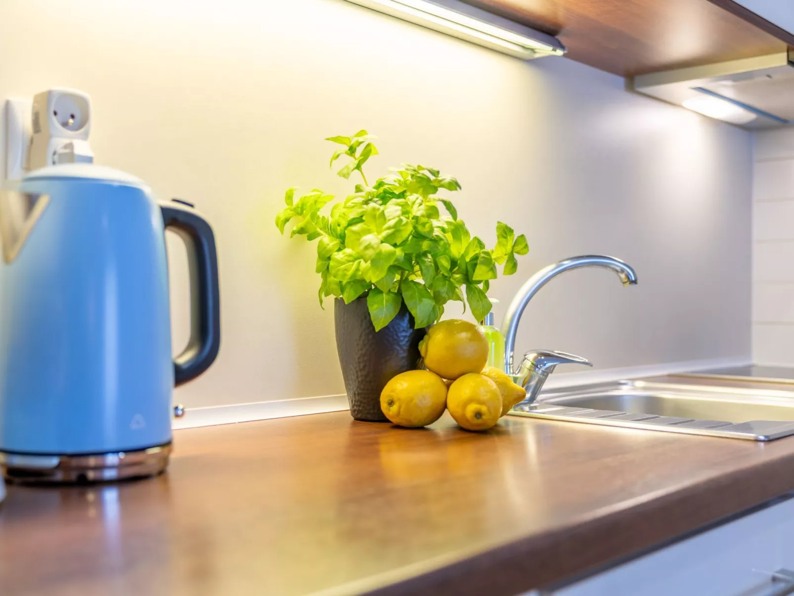 Urlaub auf der Insel Usedom, Apartment Baltycka 9-Image-tags.info