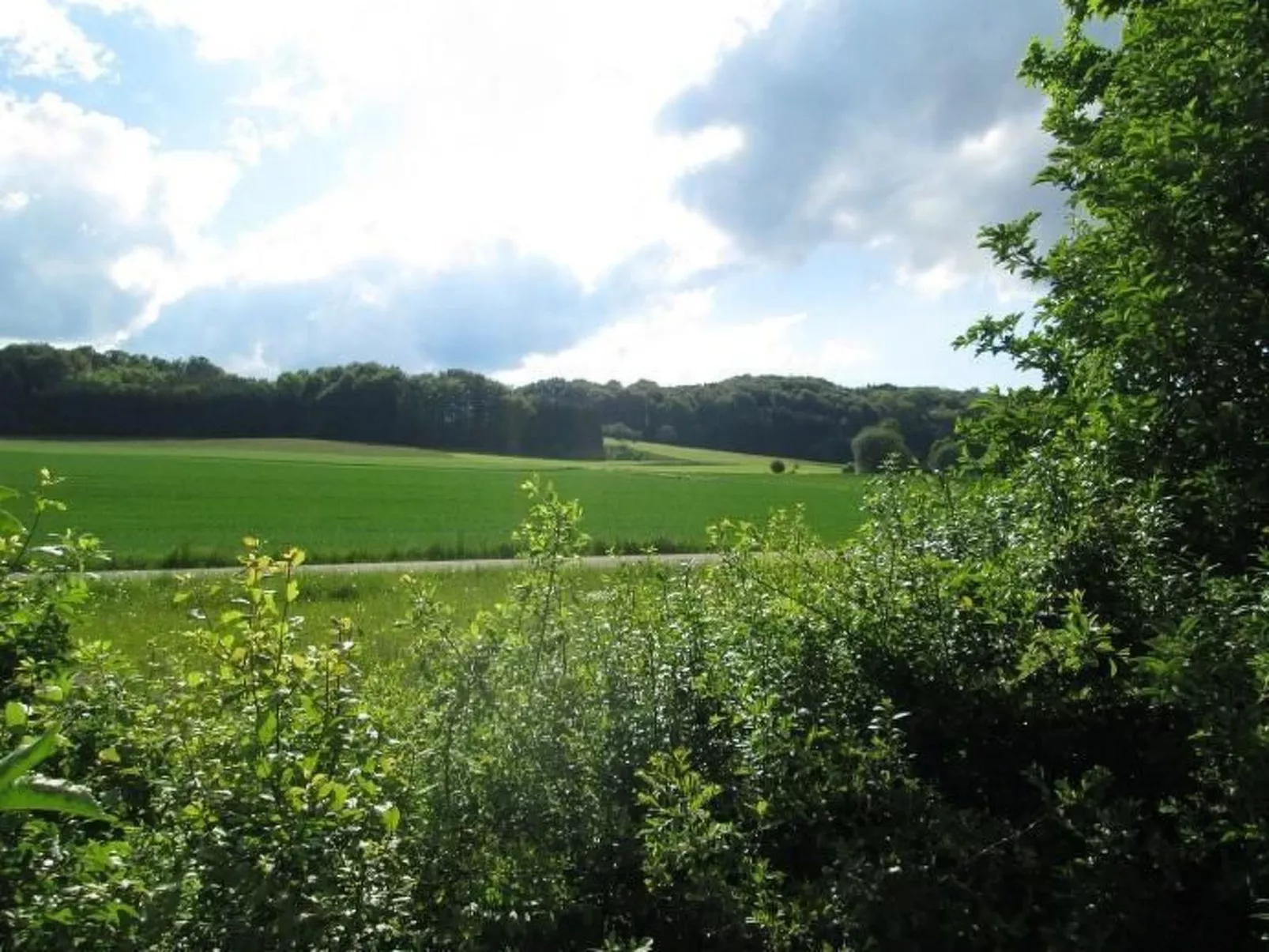 Wunderschönes Ferienhaus in Zainingen-Binnen