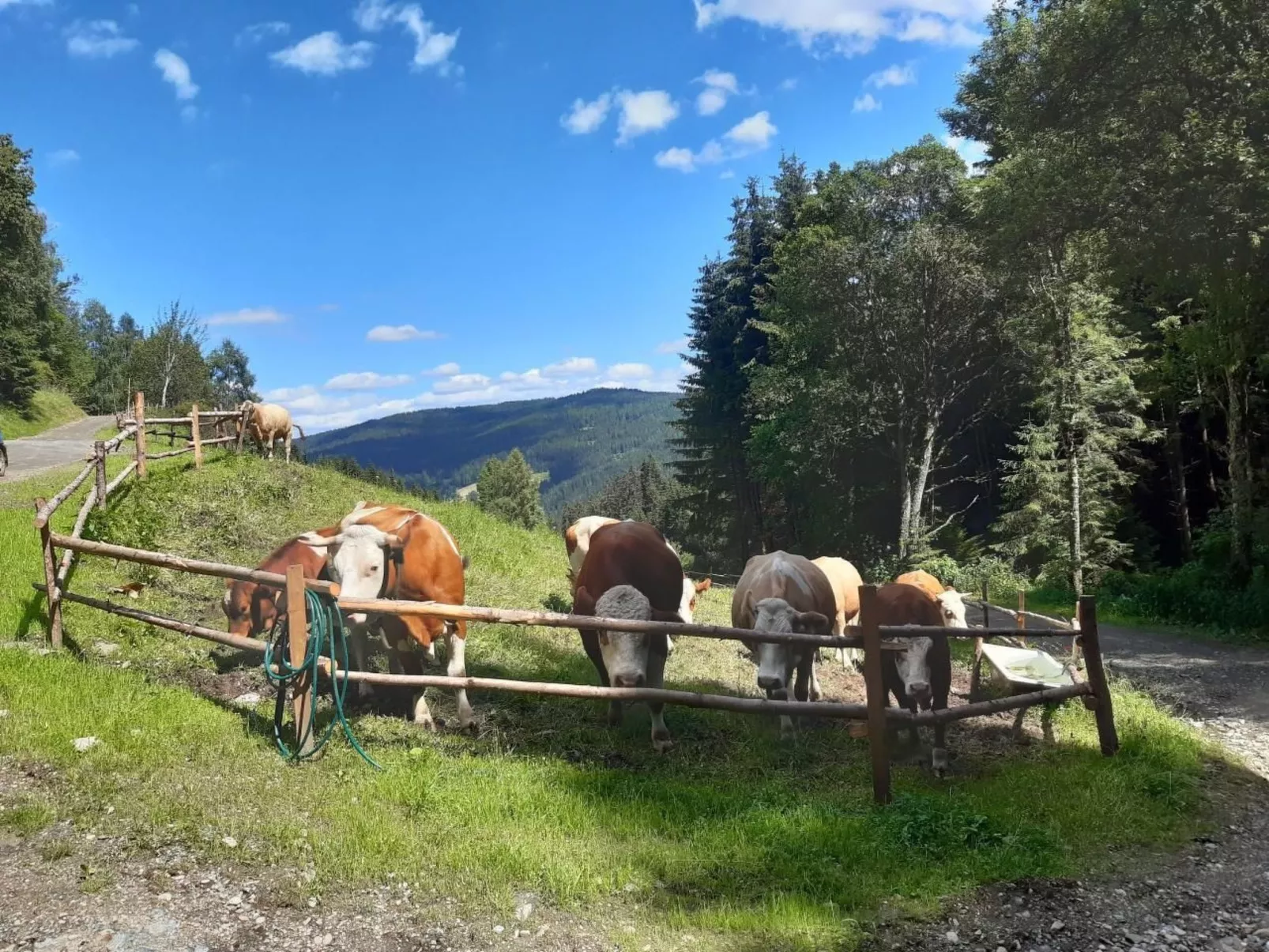 Teichhaus Simperle-Binnen