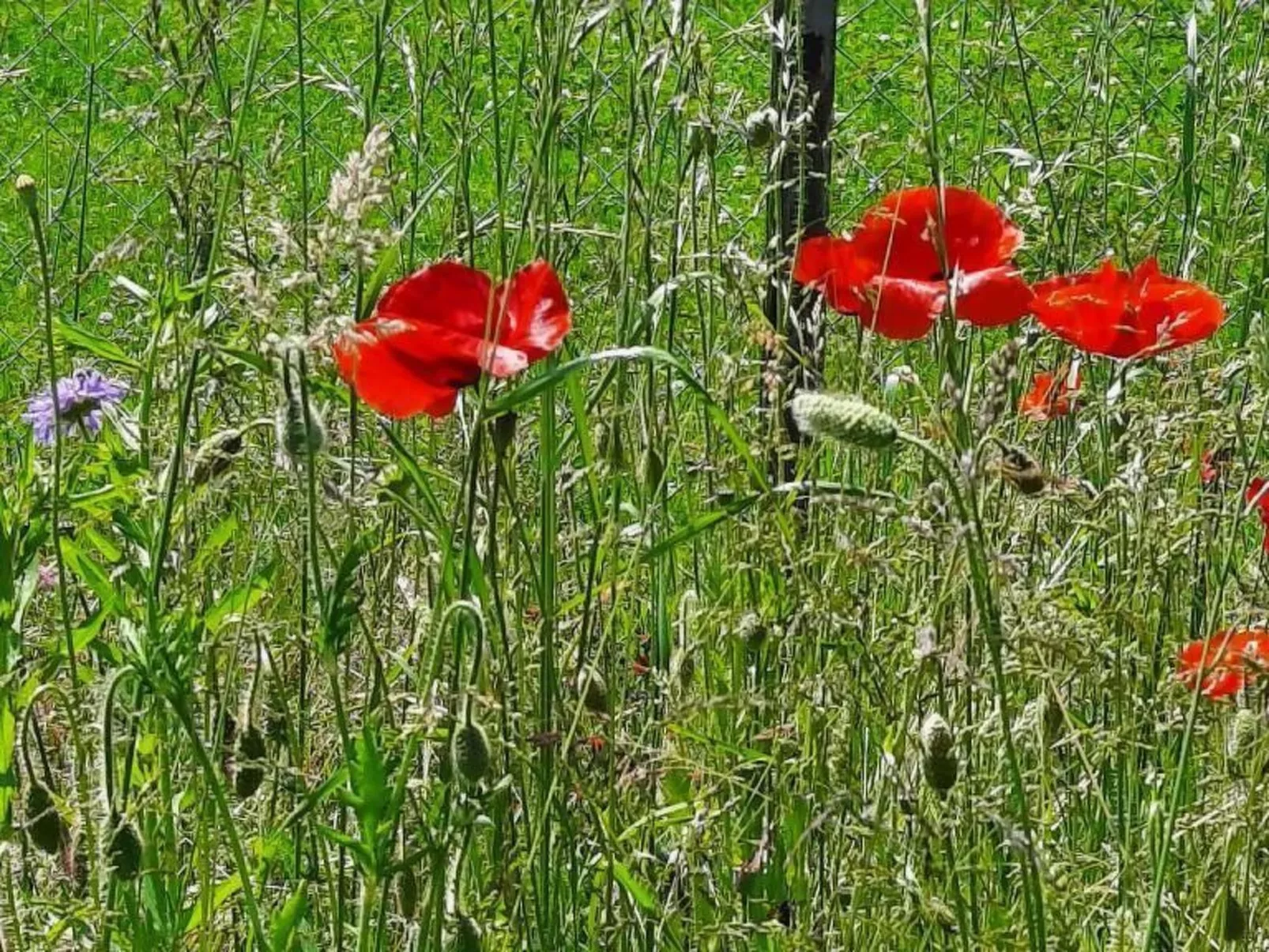 Haus Usziit - Zeit die Seele baumeln zu lassen-Image-tags.info