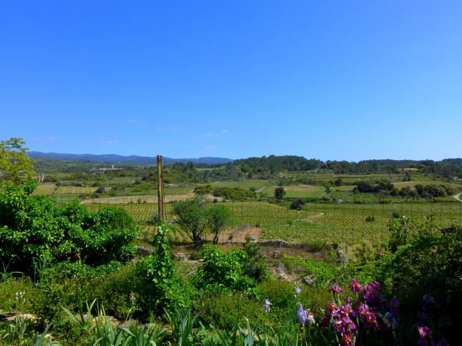 Angenehmes Ferienhaus für 5 Personen-Buiten