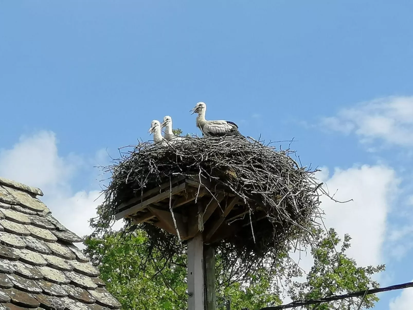 Ländlicher Tourismus-Buiten