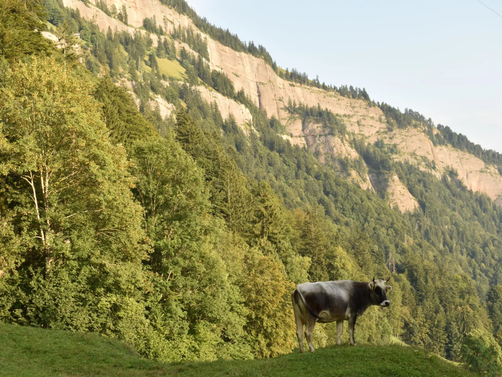 Mountain Nature Stay-Buiten