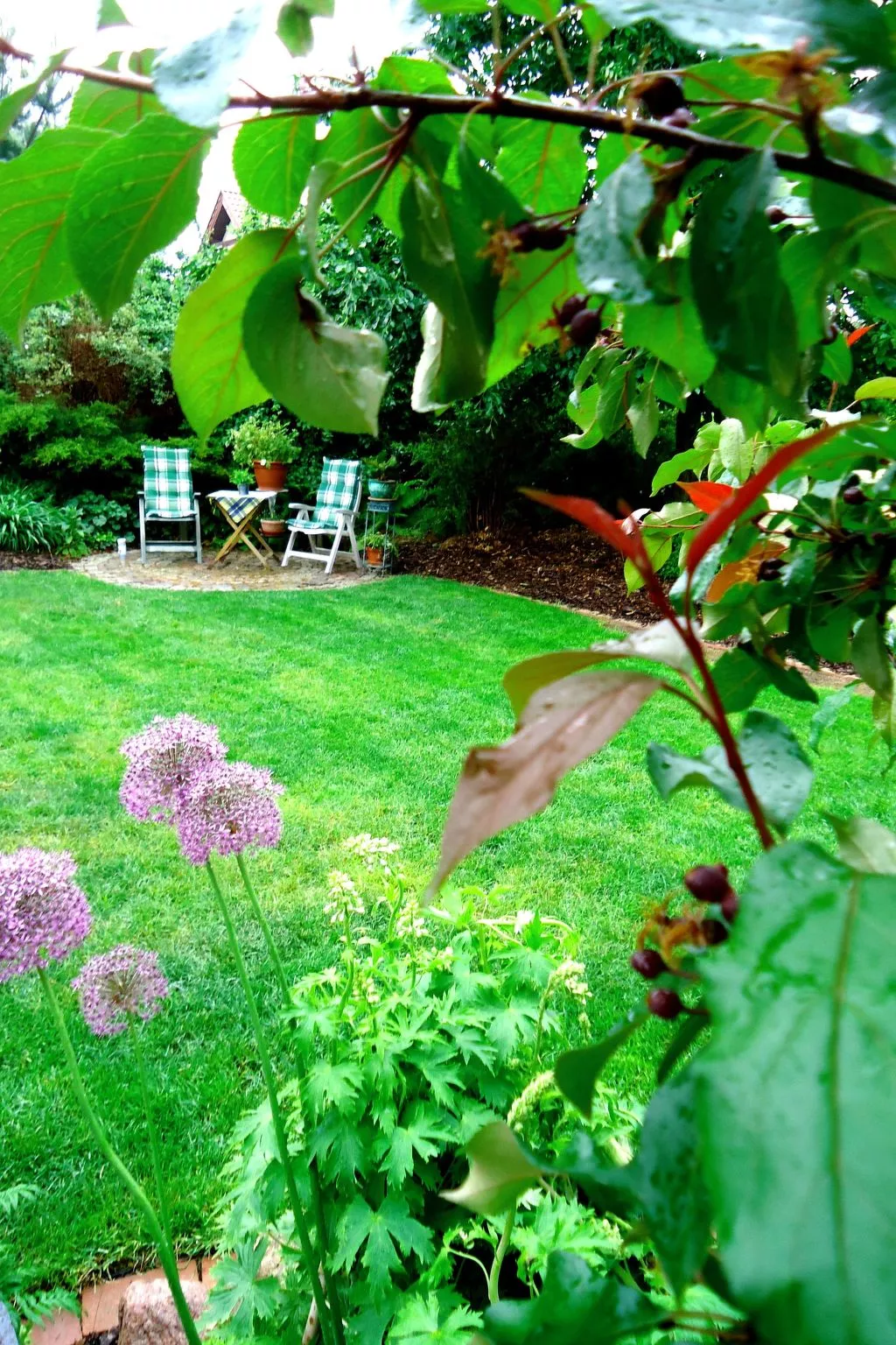 Apartment Royal - Buiten