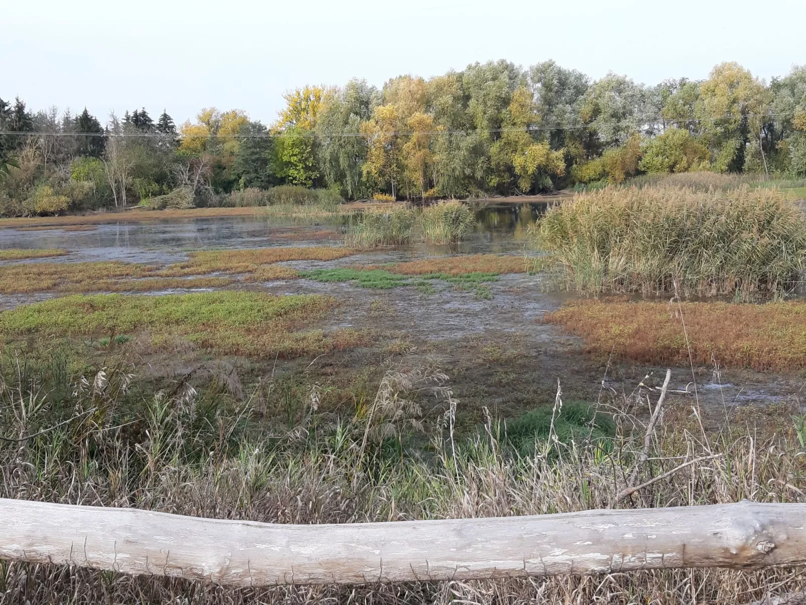 In Viereth mit Garten und Terrasse-Binnen