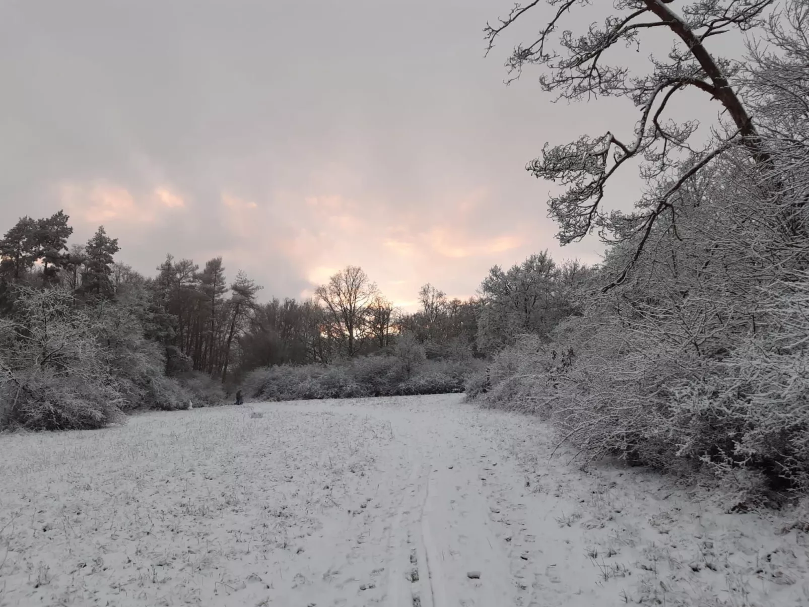 Fh Kimmelsbacher Hof-Buiten