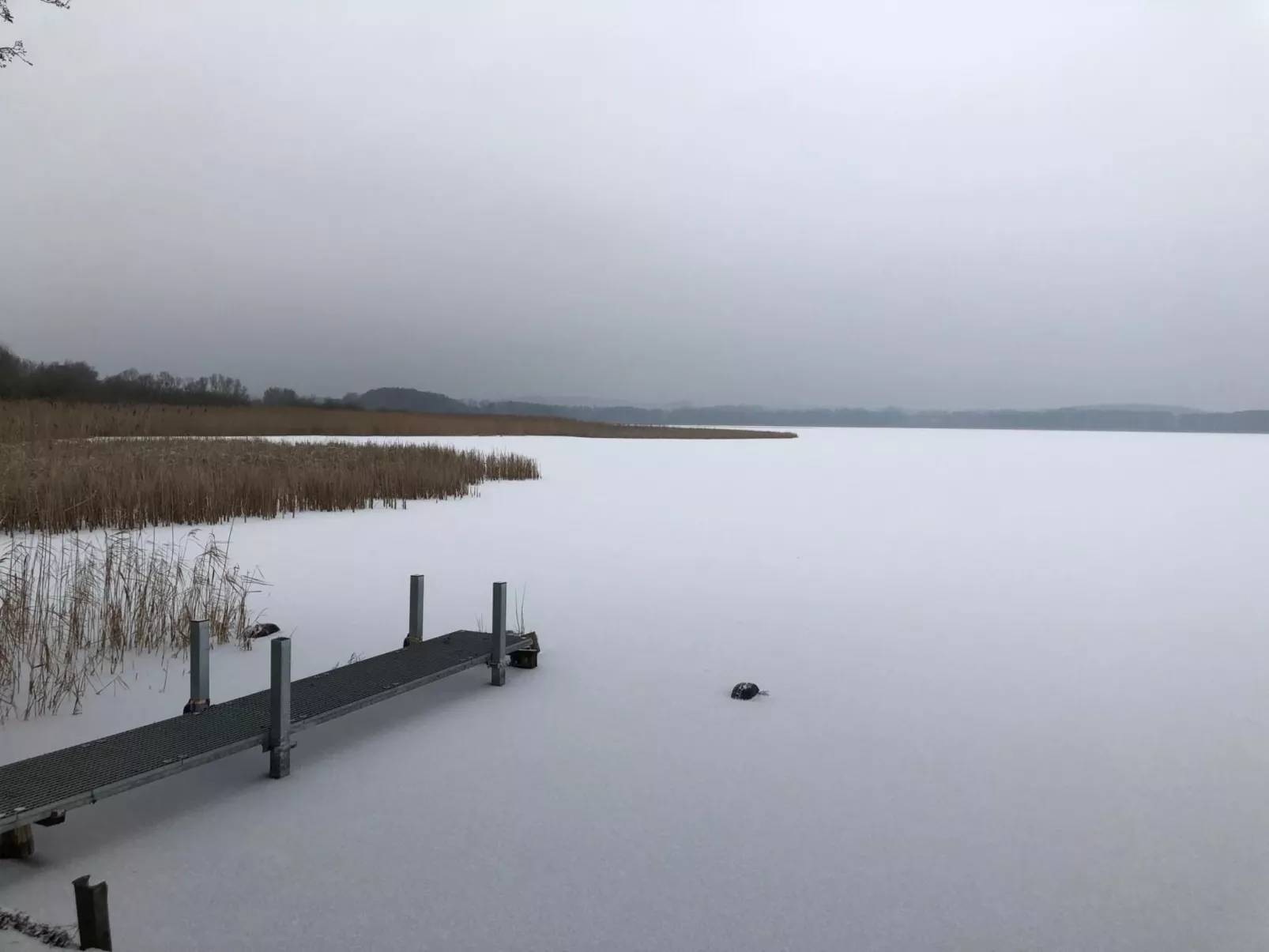 In Dahmen Terrasse und Grill-Buiten