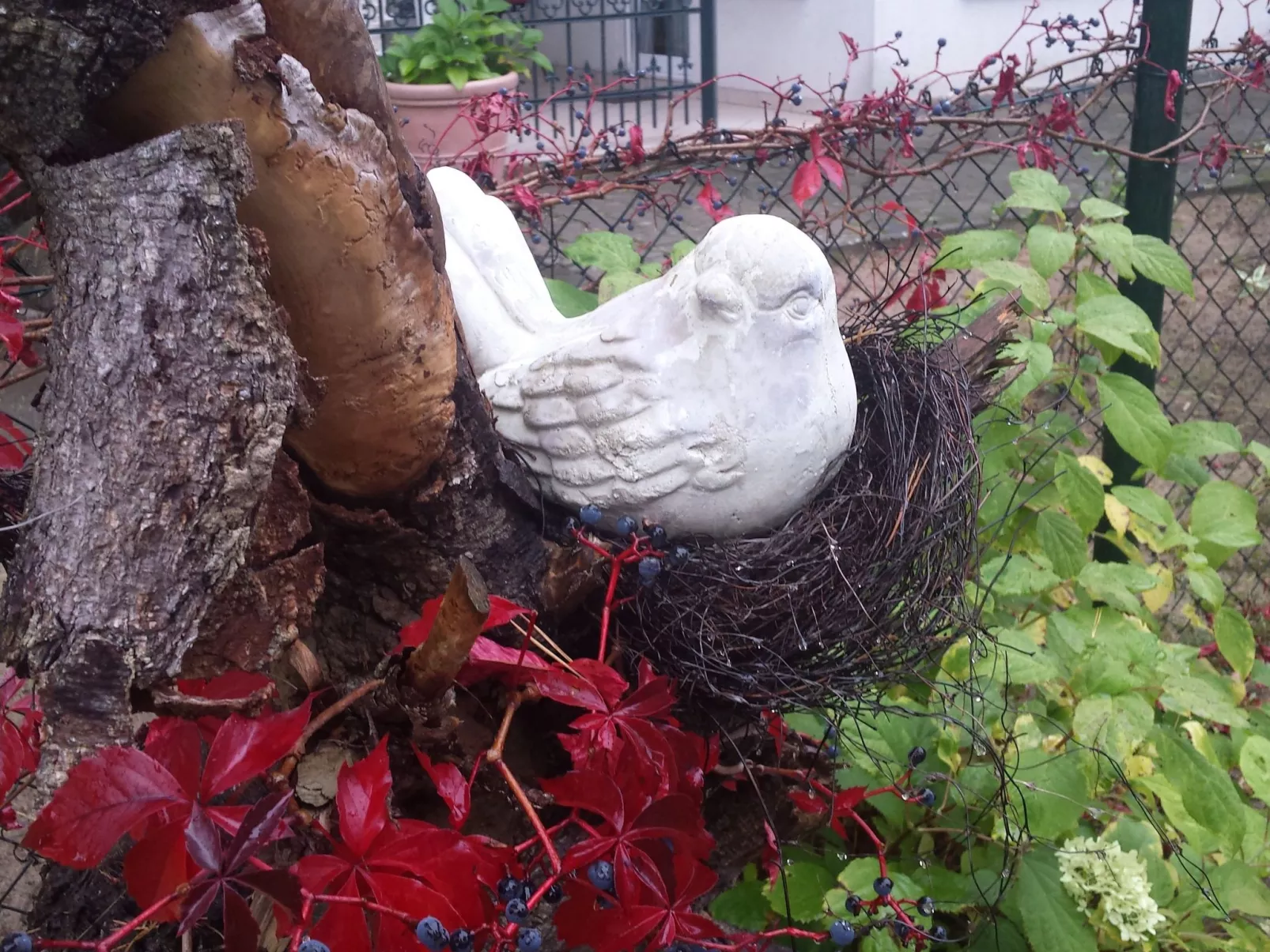 Mit Garten, Grill und Terrasse-Binnen