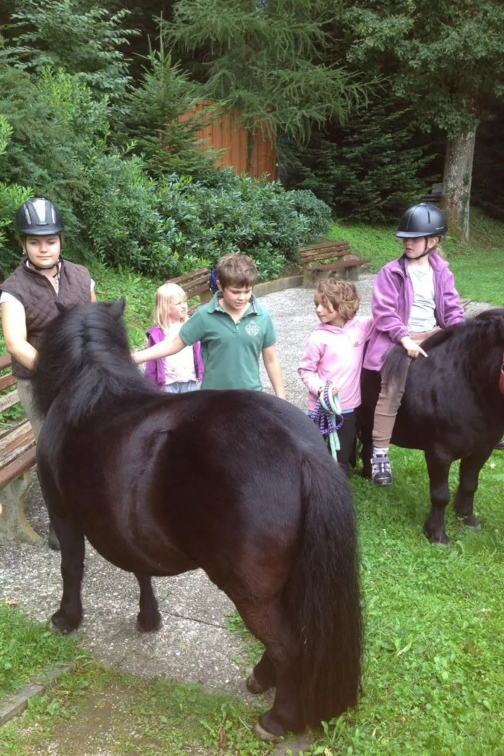 Wohnung in Unterharmersbach mit Garten und Grill-Image-tags.info