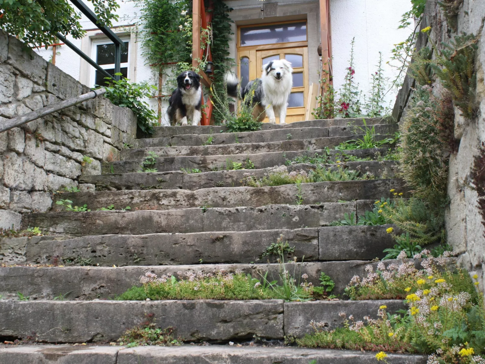 Kleine Fewo - Image-tags.info