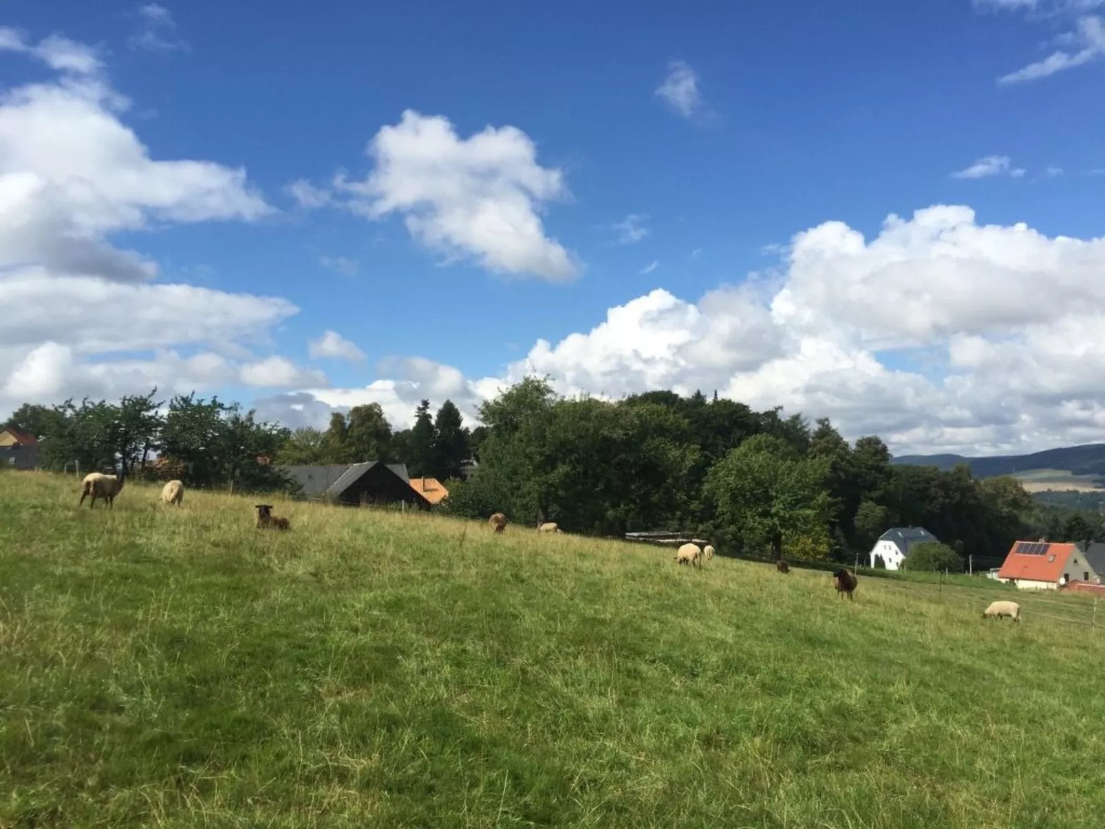 Helle und moderne Ferienwohnung mit Terrasse-Buiten
