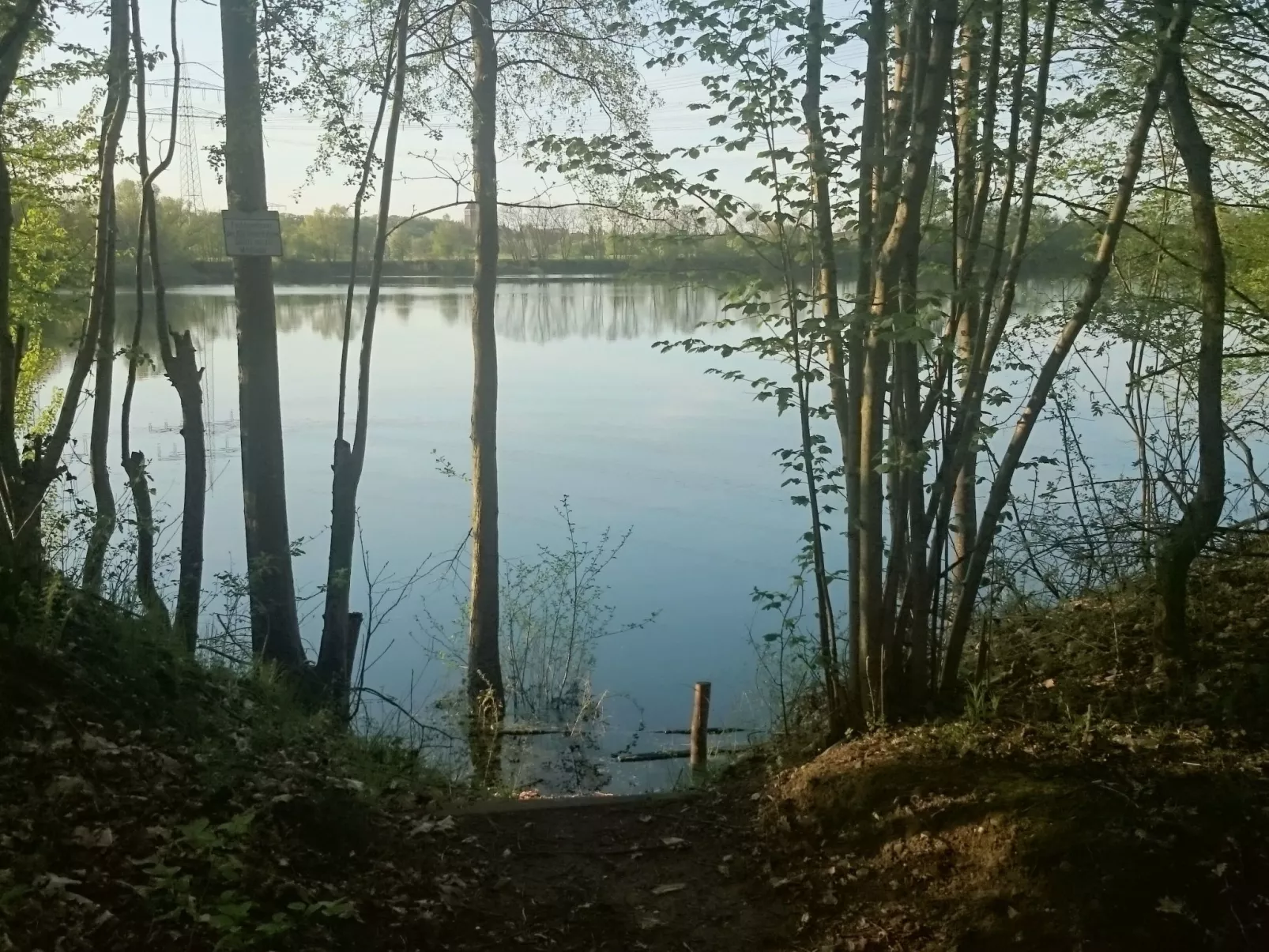 Apartment Laurence-Binnen