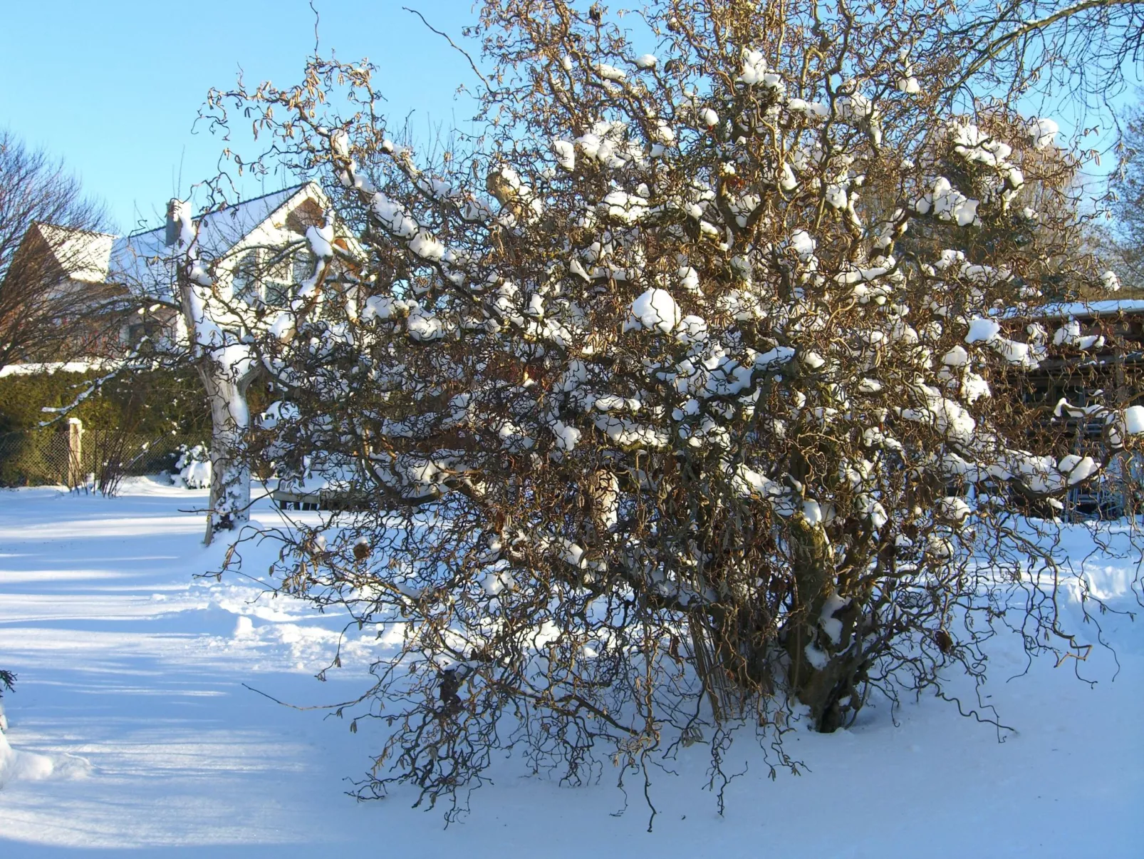 Gemütliches Ferienhaus in Fischbach Rhön-Binnen