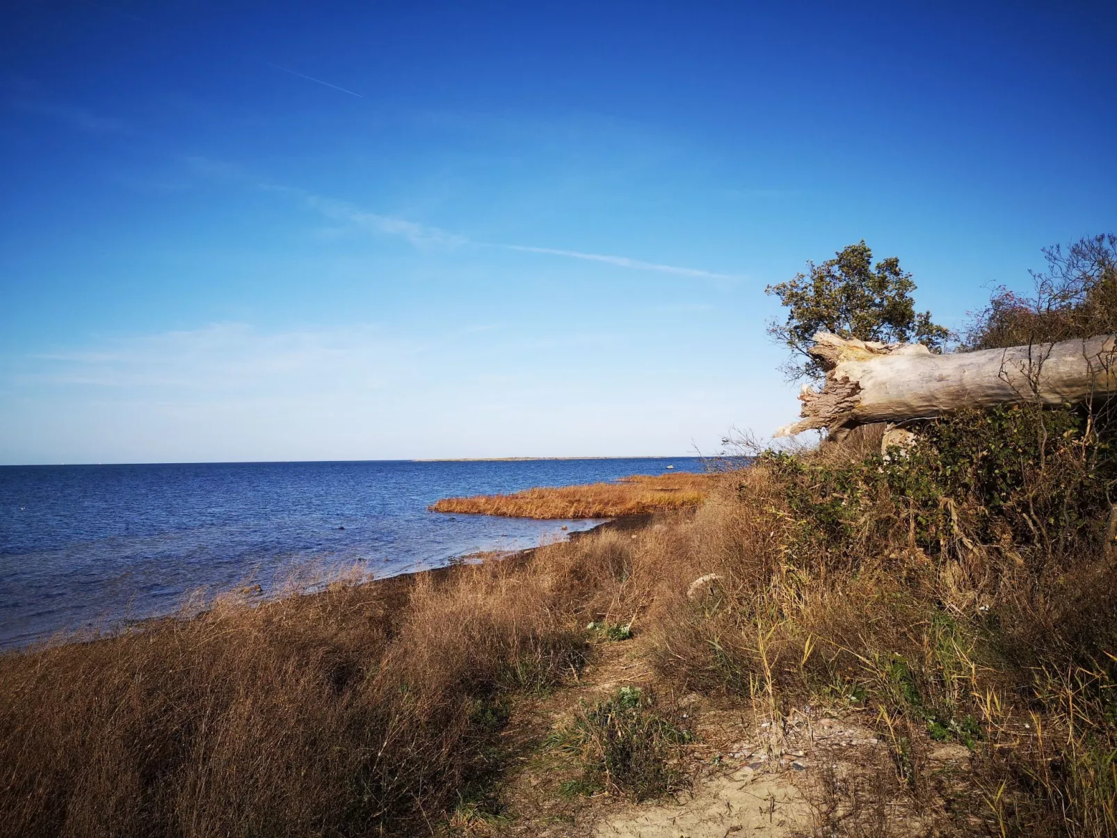 FH Salzhaff-Urlaub-Binnen