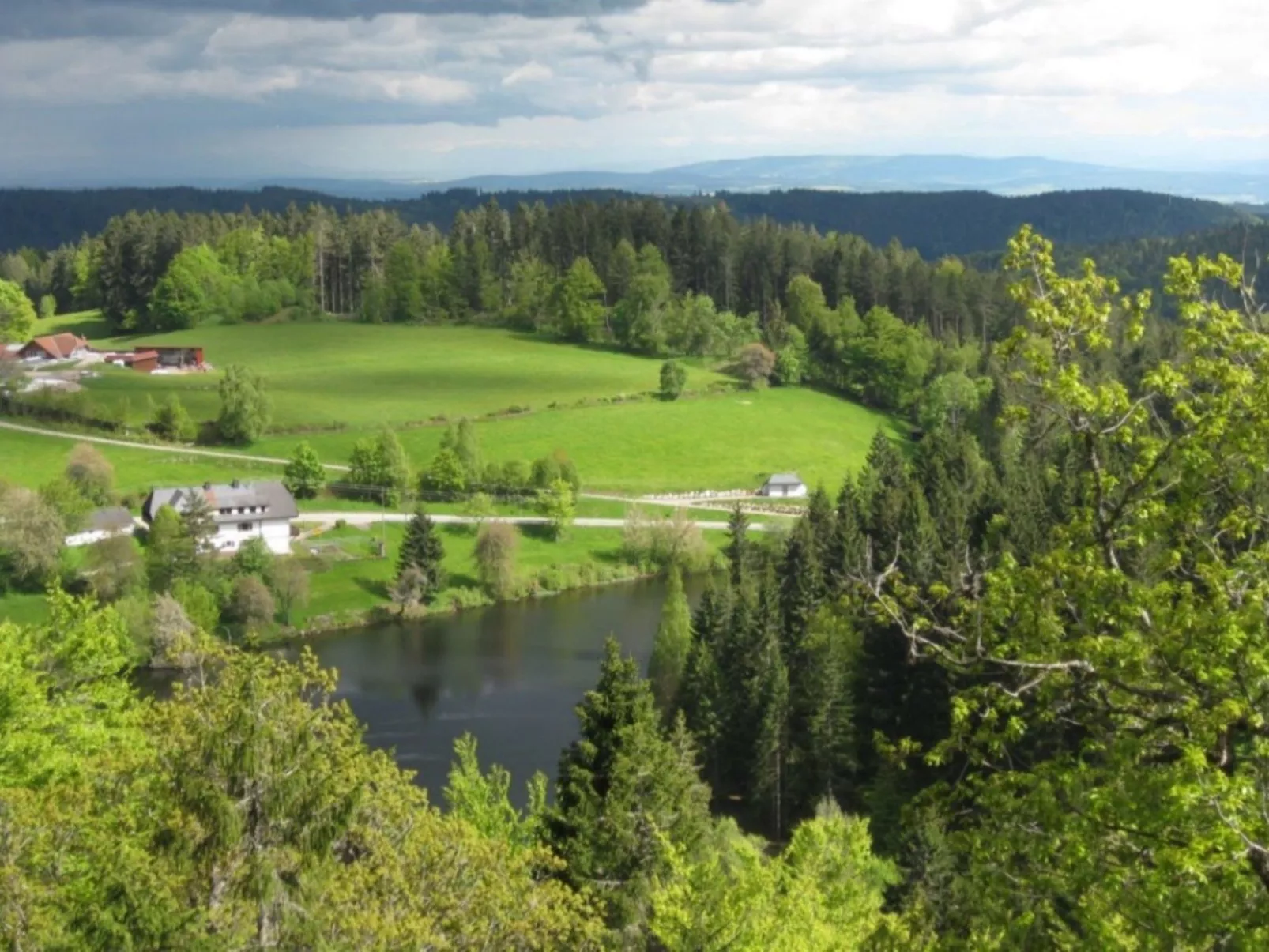 Appartement in Wittenschwand-Binnen