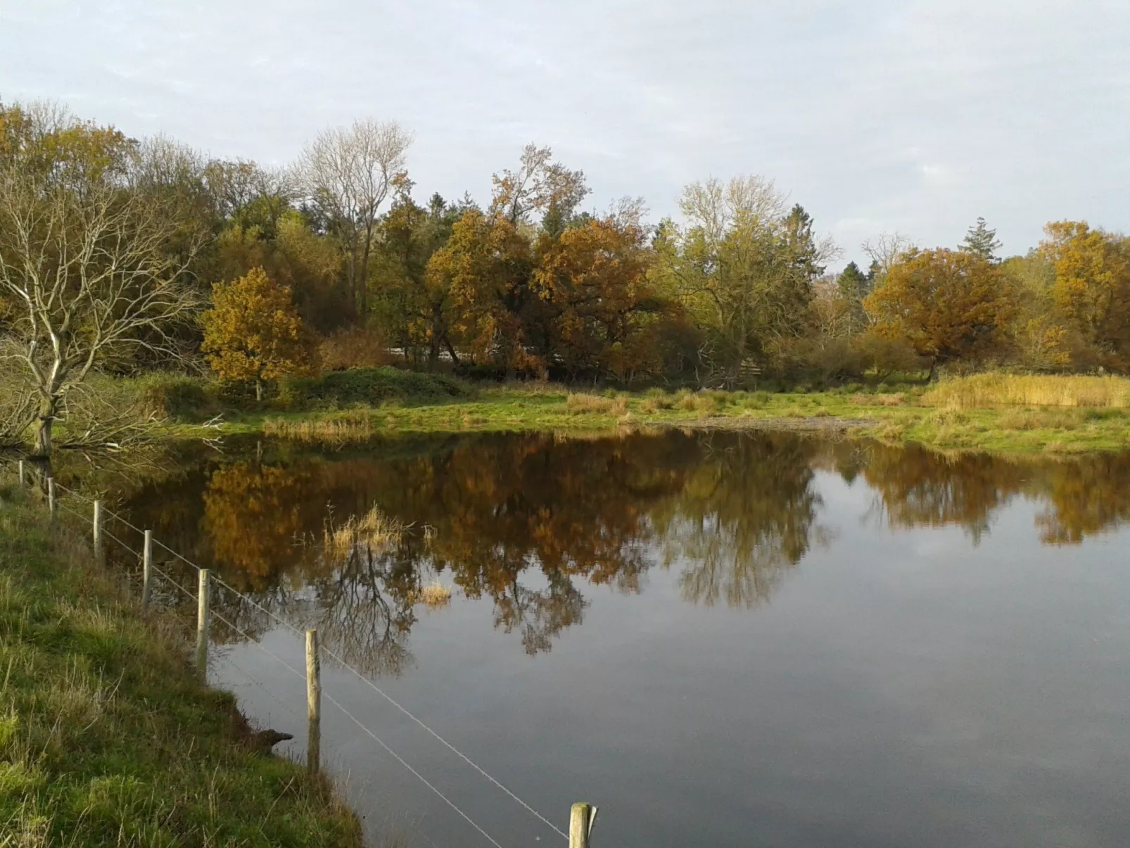 Land-Ferienhaus-Buiten